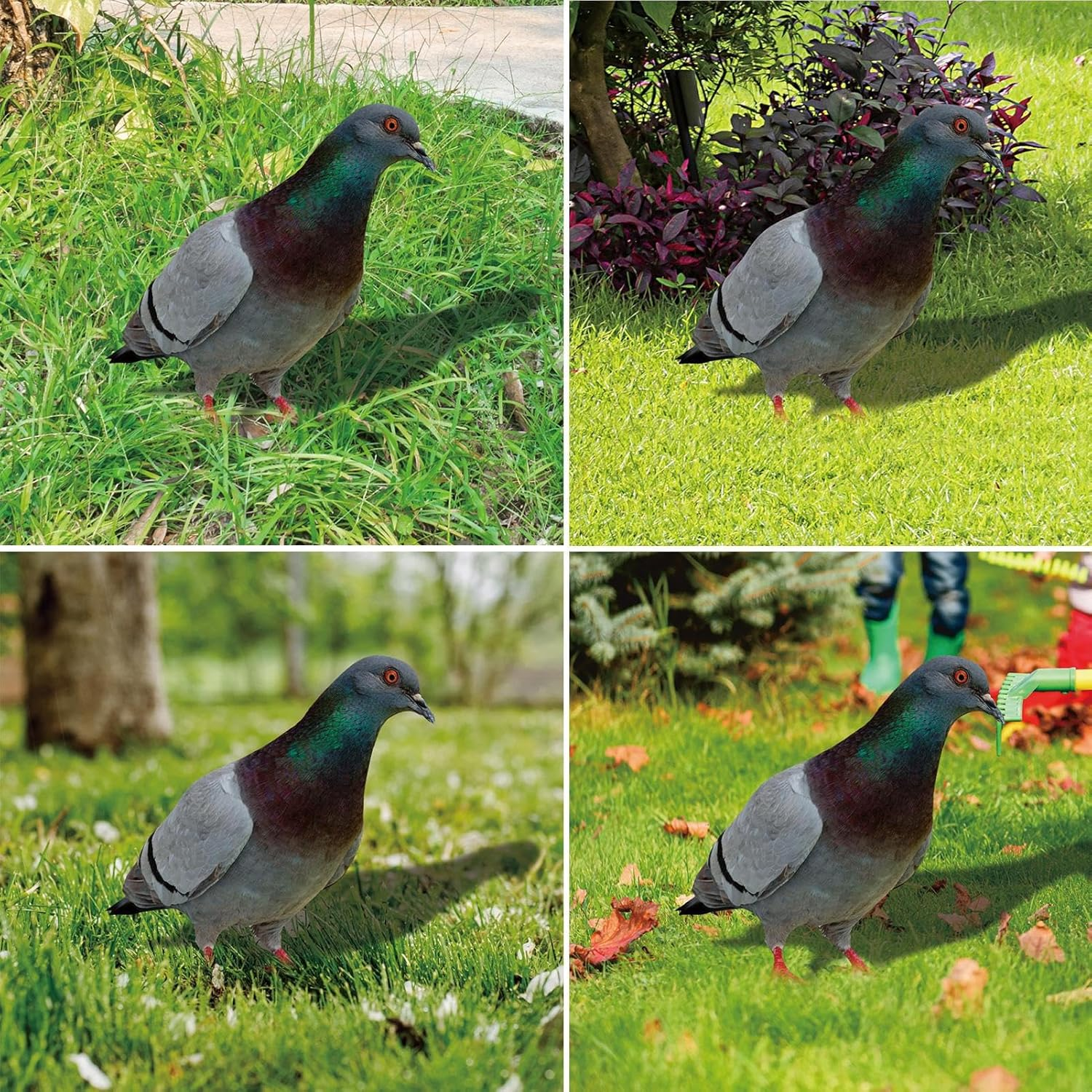 Pigeon Decoys,2X Realistic 2D Acrylic Pigeon Model - Bird Stake Ground Plug, Decorative Yard Art Bird Figurine for Courtyard, Lawn, Patio, Outdoor
