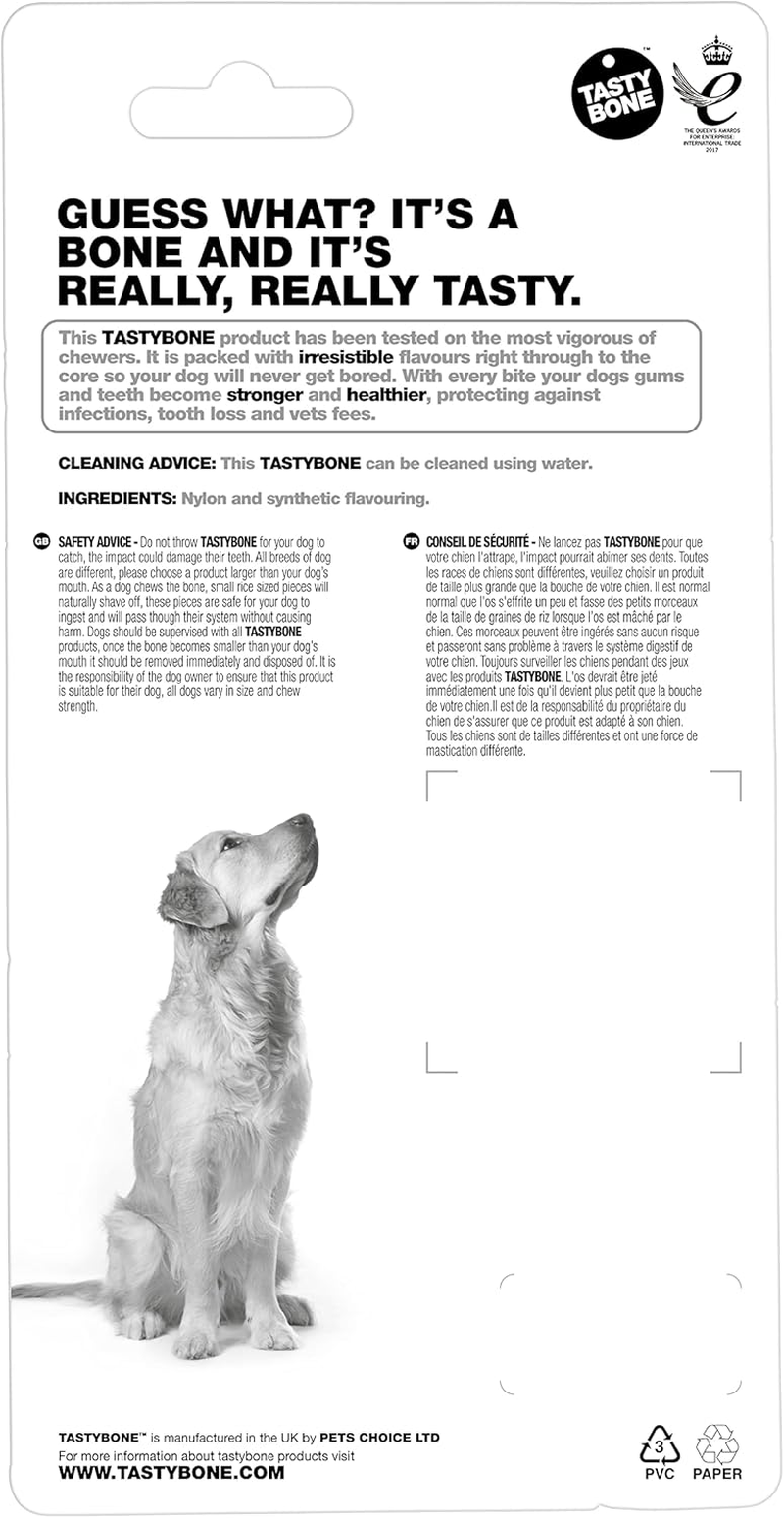 Tasty Bone Nylon Peanut Butter Dog Chew Toy Bone Large