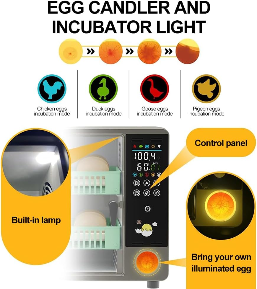 CHAOFLIGHT Eggs Incubator 24 Poultry Egg Hatchery Brooder Automatic Egg Turner with Temperature/Humidity Control & Digital Touch Screen for Hatching Parrot,Birds,Chickens,Ducks,Quails image number 2