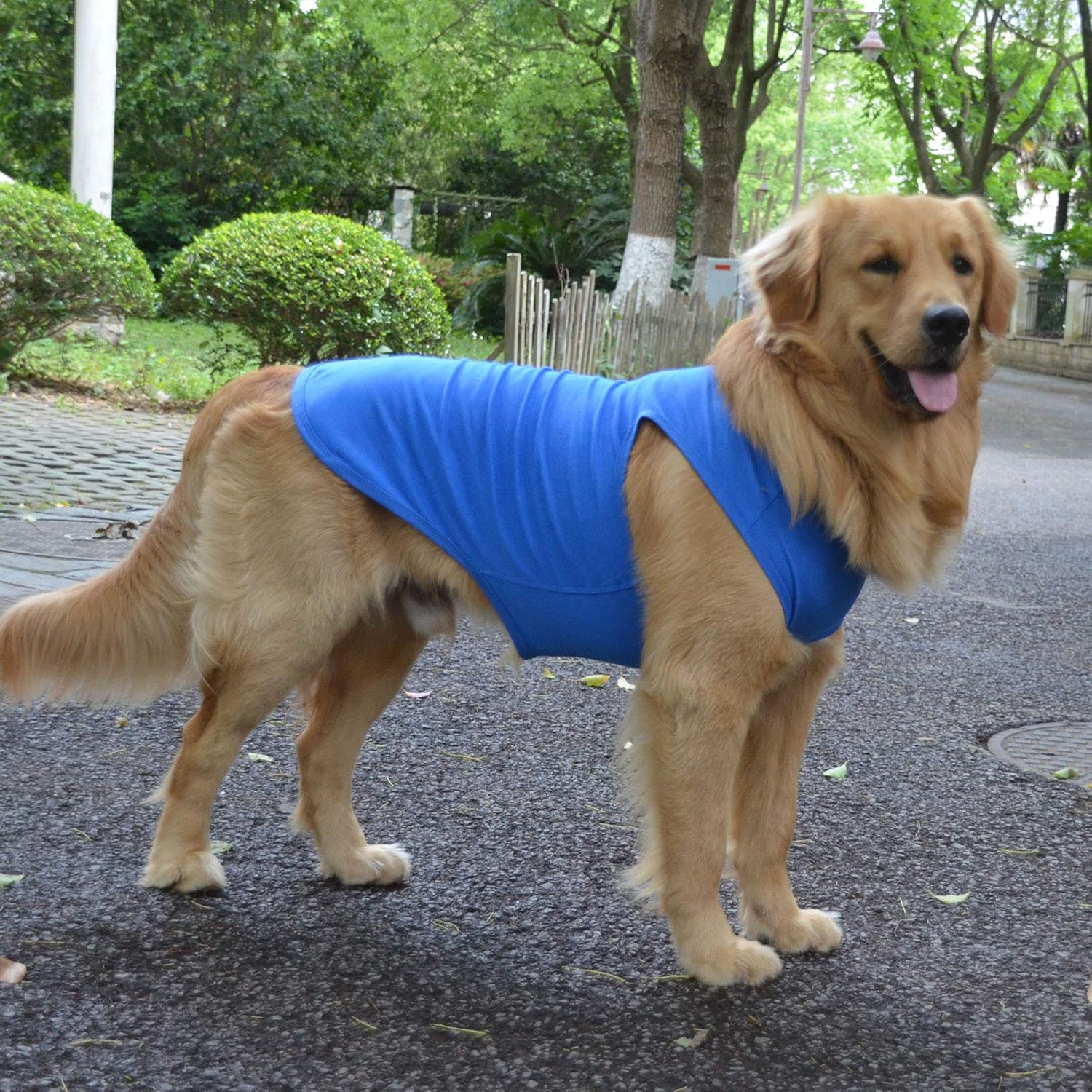 2018 Pet Clothes Dog Clothing Blank T-Shirt Tanks Top Vests for Small Middle Large Size Dogs 100% Cotton Dog Summer Vest Classic (S, Blue) image number 6