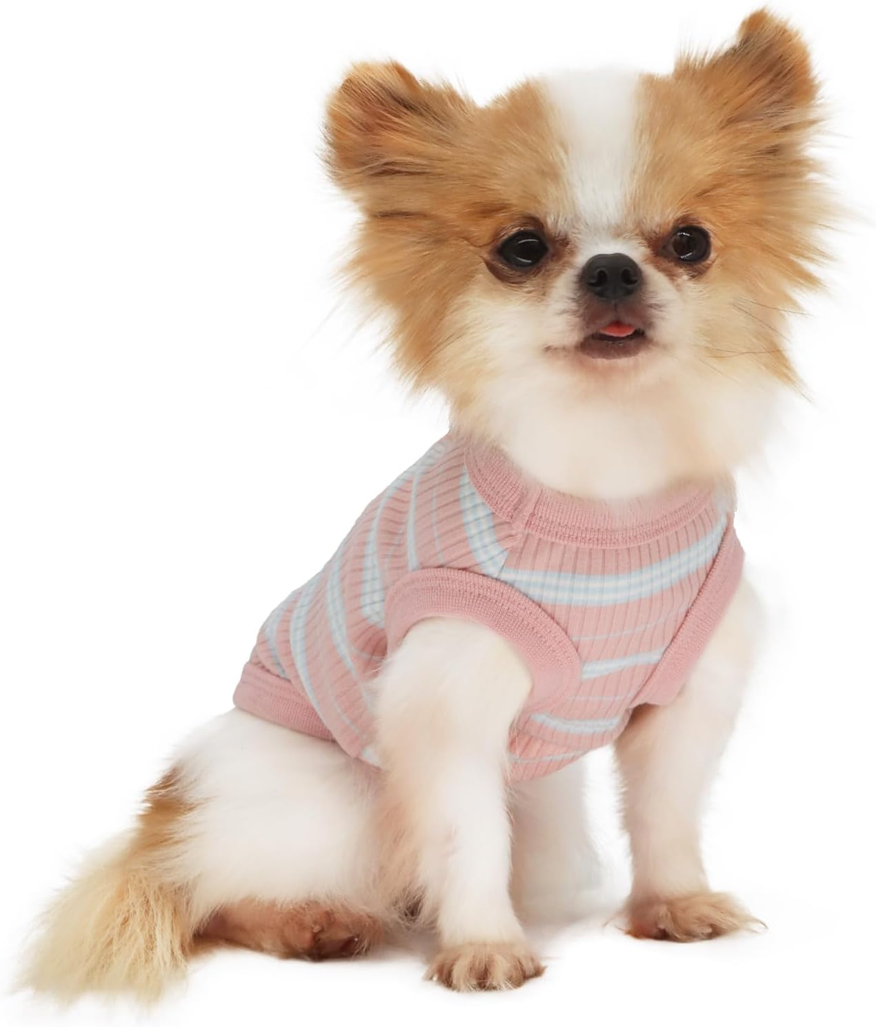 LOPHIPETS 100% Cotton Rib Dog Shirt Vest for Small Dogs Teacup Chihuahua Yorkie Puppy Clothes Tank Tee-Pink/Xs