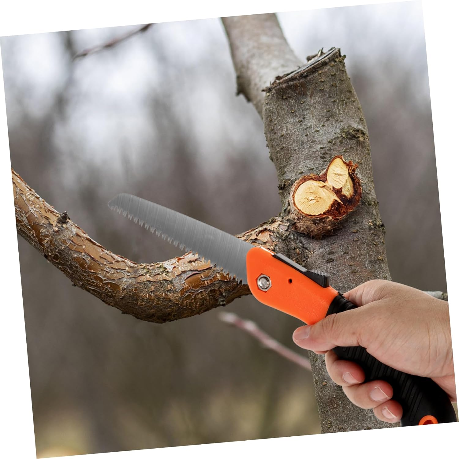 BCOATH Folding Pruning Saw Impact Hardened Blade for Dry Wood Cutting Versatile Woodworking Hand Saw for Camping Gardening and DIY Projects image number 5