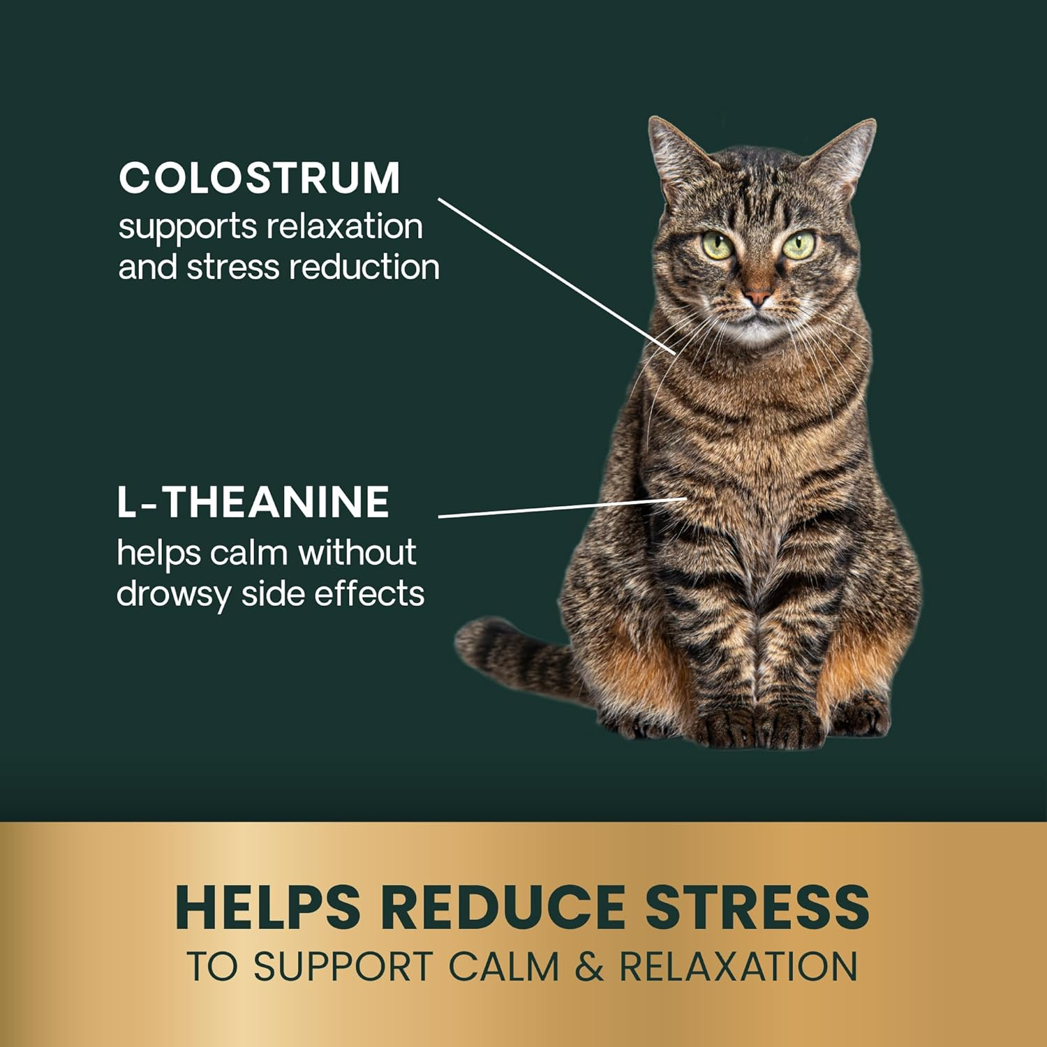 Vetriscience Composure, Calming Formula for Cats, 30 Bite-Sized Chews