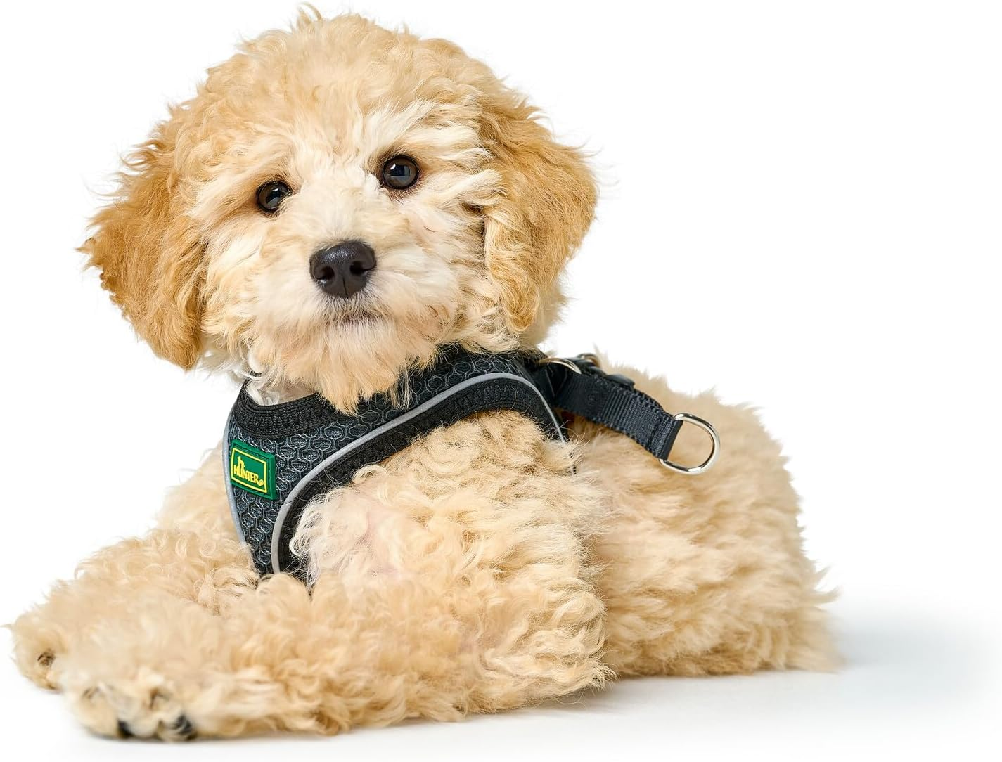 HUNTER HILO COMFORT Harness for Small Dogs, with Mesh Material and Reflective Elements,Anthracite,Xs-S image number 3