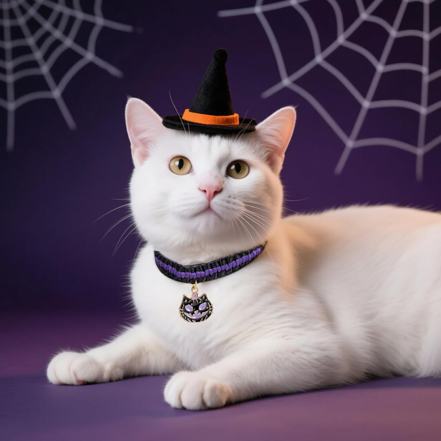 Halloween Cat Collar image number 4