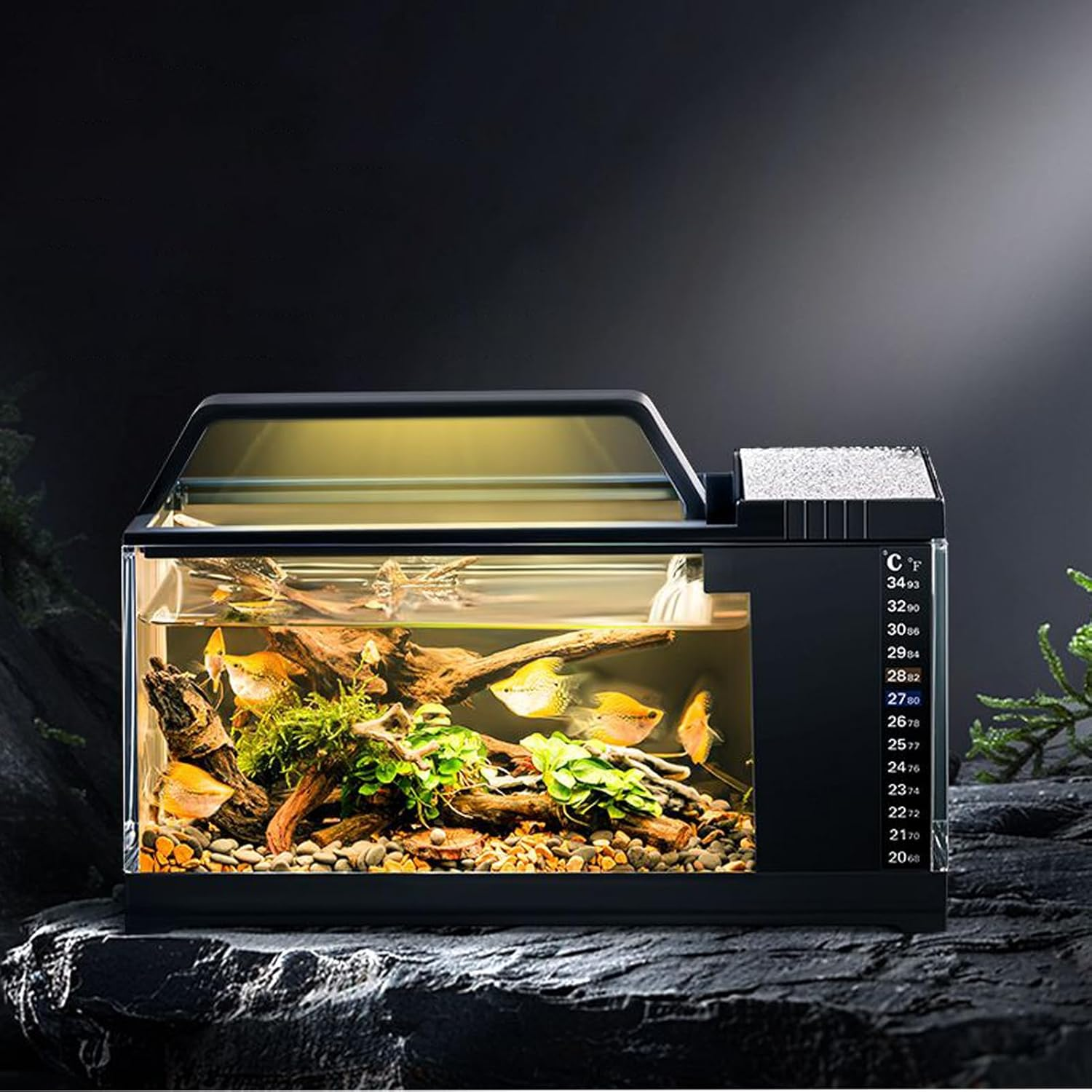 Fish Tank Kit | Fish Tanks with LED Light | Small Aquarium Tank Quiet Pump Kit with Filtration System, Smart Desktop Accessories for Bedroom Living Room Home Decorations image number 2