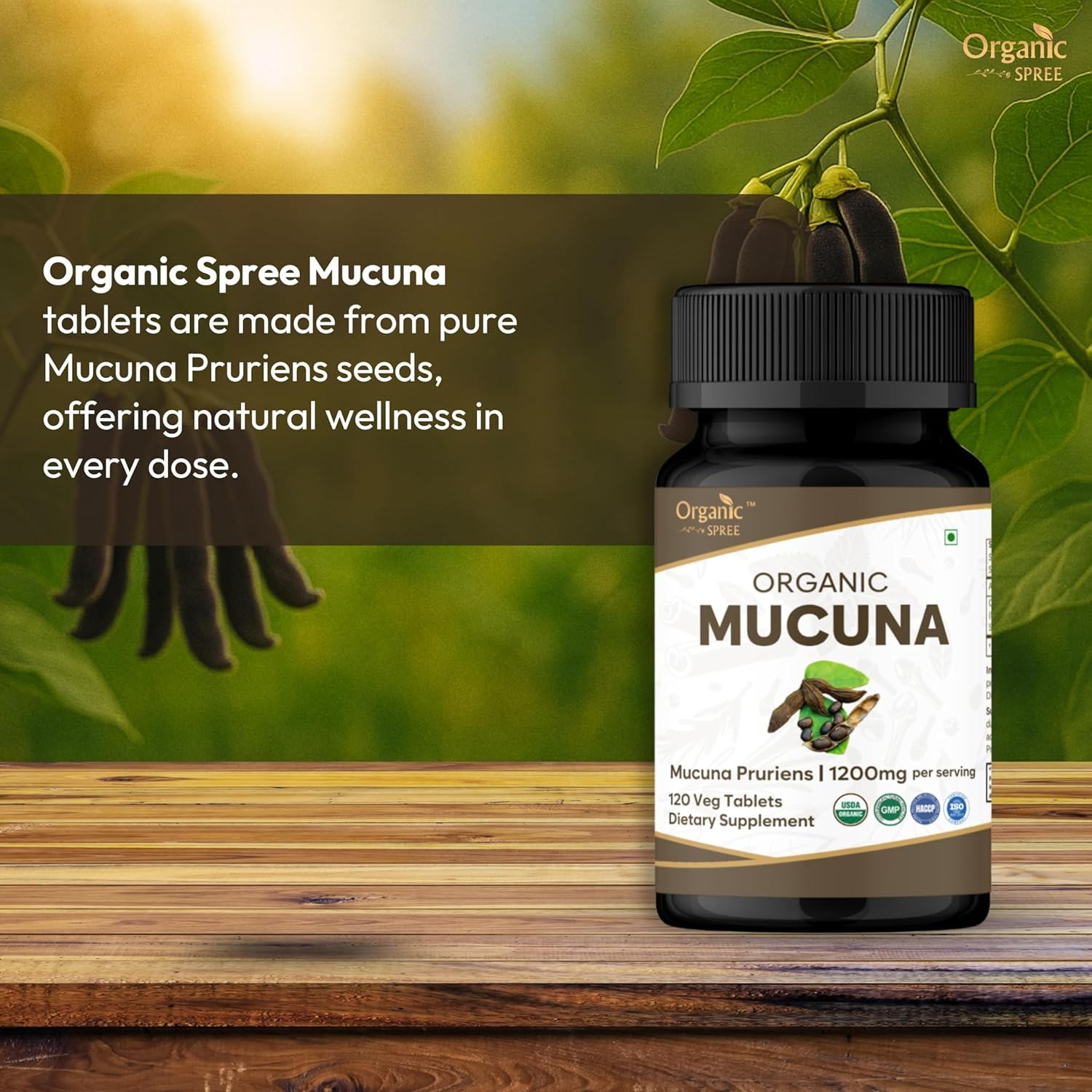 Mucuna 120 Tablets | Mucuna Pruriens (Mucuna) | USDA Organic Certified | Supports Relaxation | Organic and Natural 120Tab - Pack of 2 image number 6