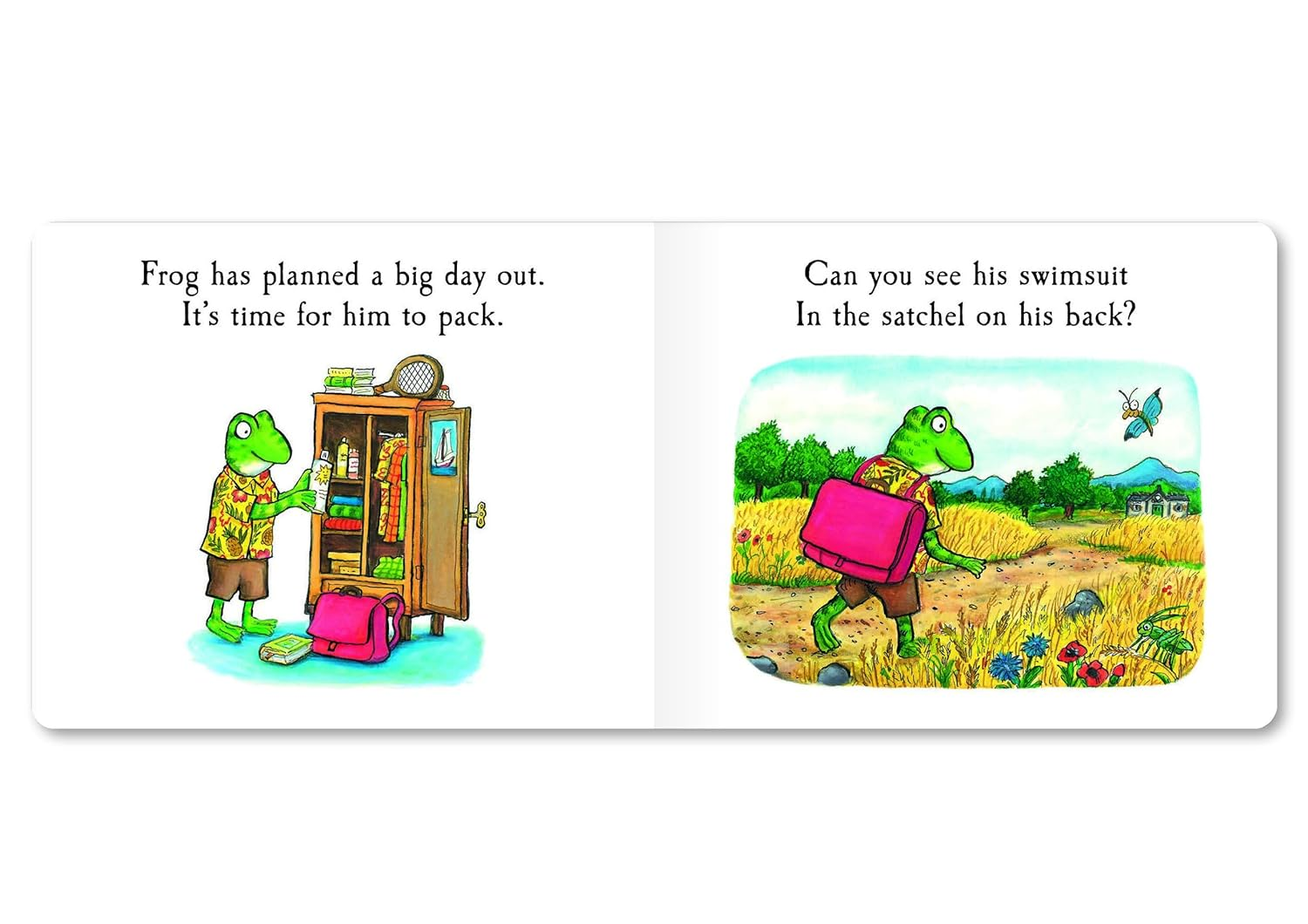 Frog'S Day Out: a Lift-The-Flap Story image number 3