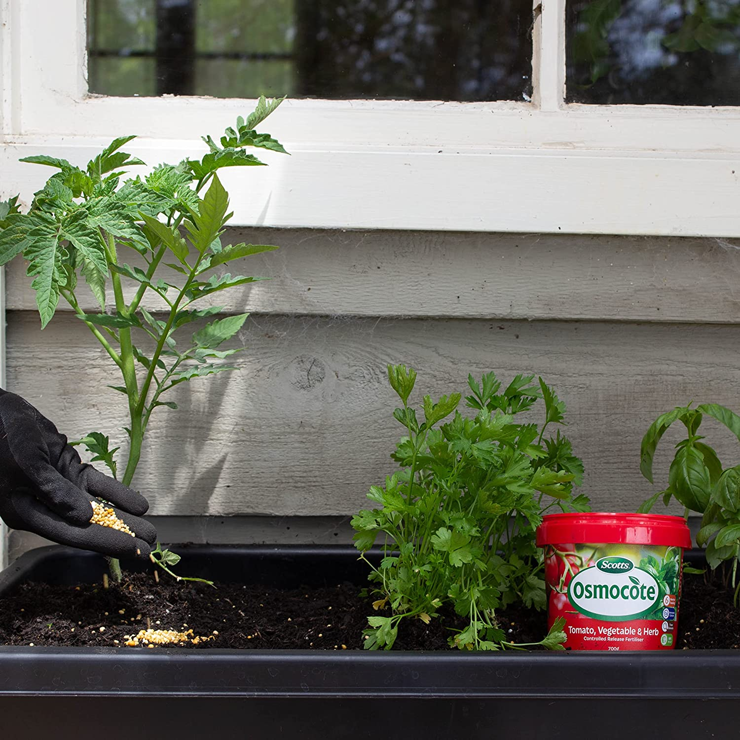 Osmocote Vegetable and Herb Controlled Release Fertiliser, 700G & Scotts Osmocote plus Organics Fruit and Citrus Fertiliser and Soil Improver, 800G image number 4