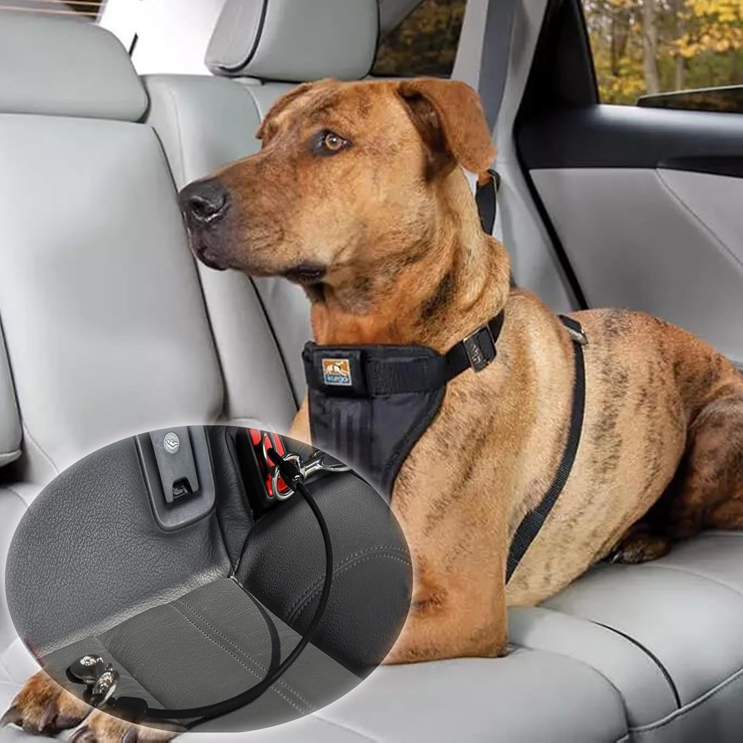 Car Harness for Dogs, Heavy Duty Steel Rope, Pet Dog Seat Belt, Made of Carbon Steel, Chew Resistant Tether Rope, Vehicle Harness with Double Clips and Locking Fastener, 2 Pack image number 2