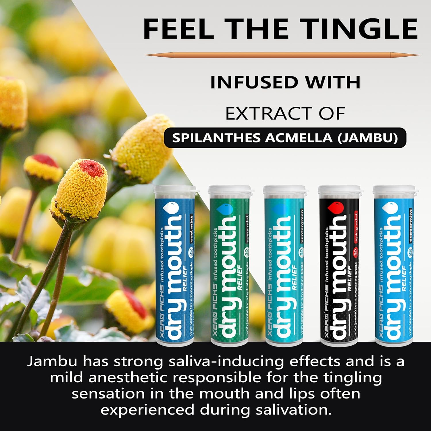 Xero Picks Dry Mouth - Infused Flavored Toothpicks for Long Lasting Fresh Breath & Dry Mouth Prevention (5 Pack - Mints Variety) image number 2