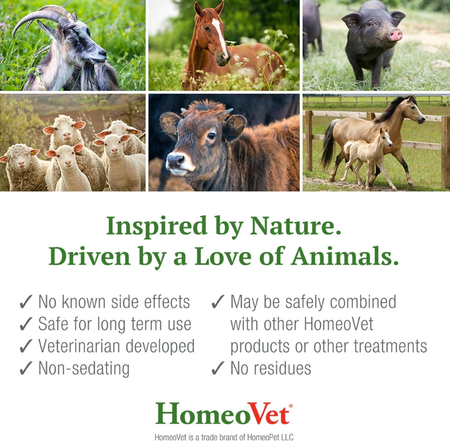 Homeovet Equine Pre Performance Stress 120 Ml - Horse Calming Behavioural Aid for Relaxation before Specific Events. for Horses with Anxiety Pre Event, Stable Changes and Other Stressful Situations image number 1