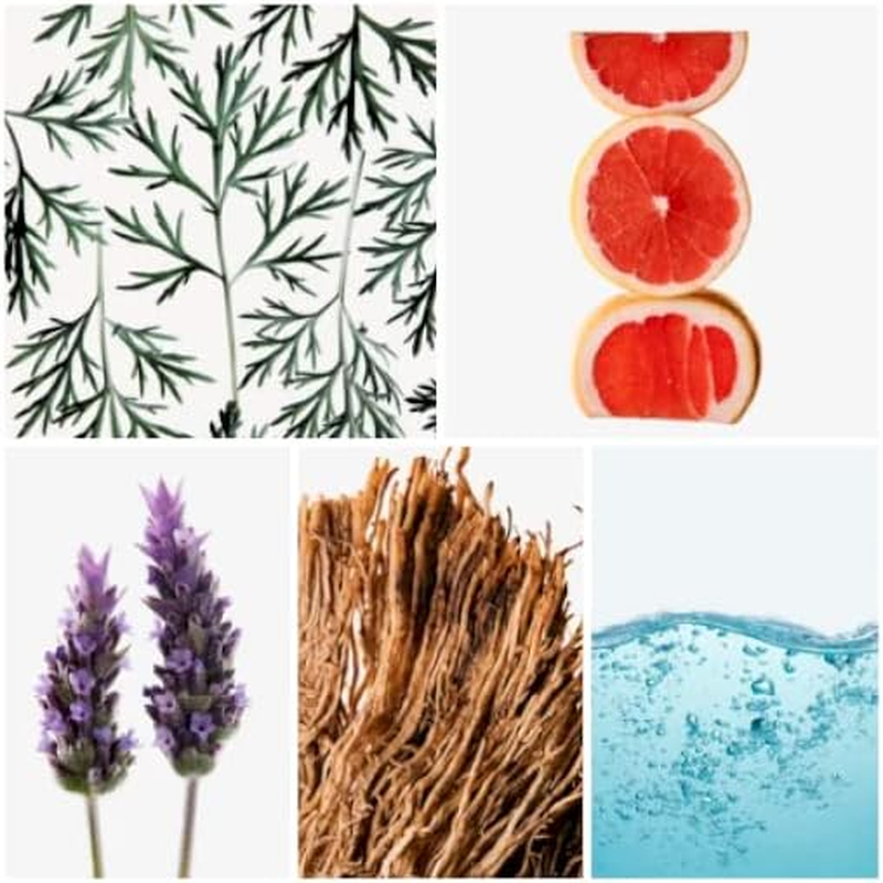 Antonio Banderas King of Seduction Eau De Toilette Spray for Men, Absolute, 100Ml image number 4