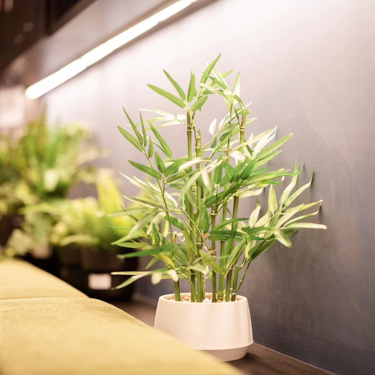 365 Blooming Decor 18" White Potted Faux Bamboo Plant- Luxury Artificial Bamboo Tree in White Pot for Home, Office, Kitchen, Counter Top, Indoor Decor, Money Tree, Lucky Bamboo Tree image number 3