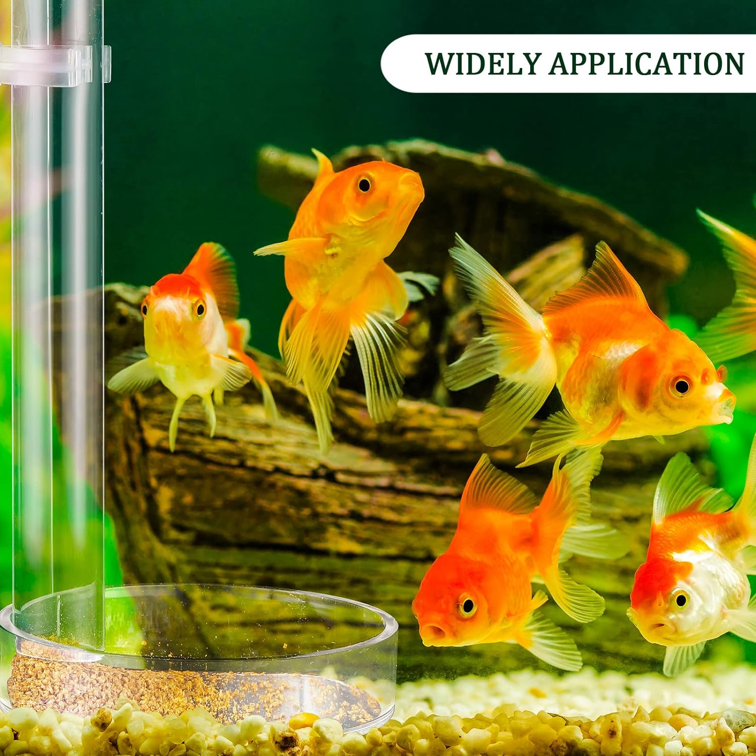 12 Pieces Shrimp Feeder Set 4 Acrylic Tubes & 8 Dishes, Clear Crystal Glass Bowl, Fish Tank Feeding Supplies for Shrimp & Betta, 2 Sizes image number 4