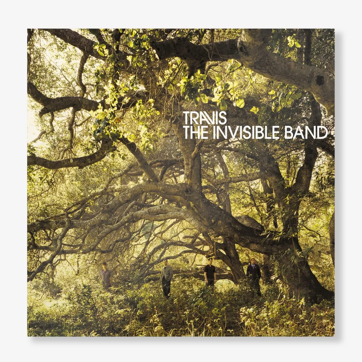 The Invisible Band 20Th Anniversary Edition (2CD Deluxe)