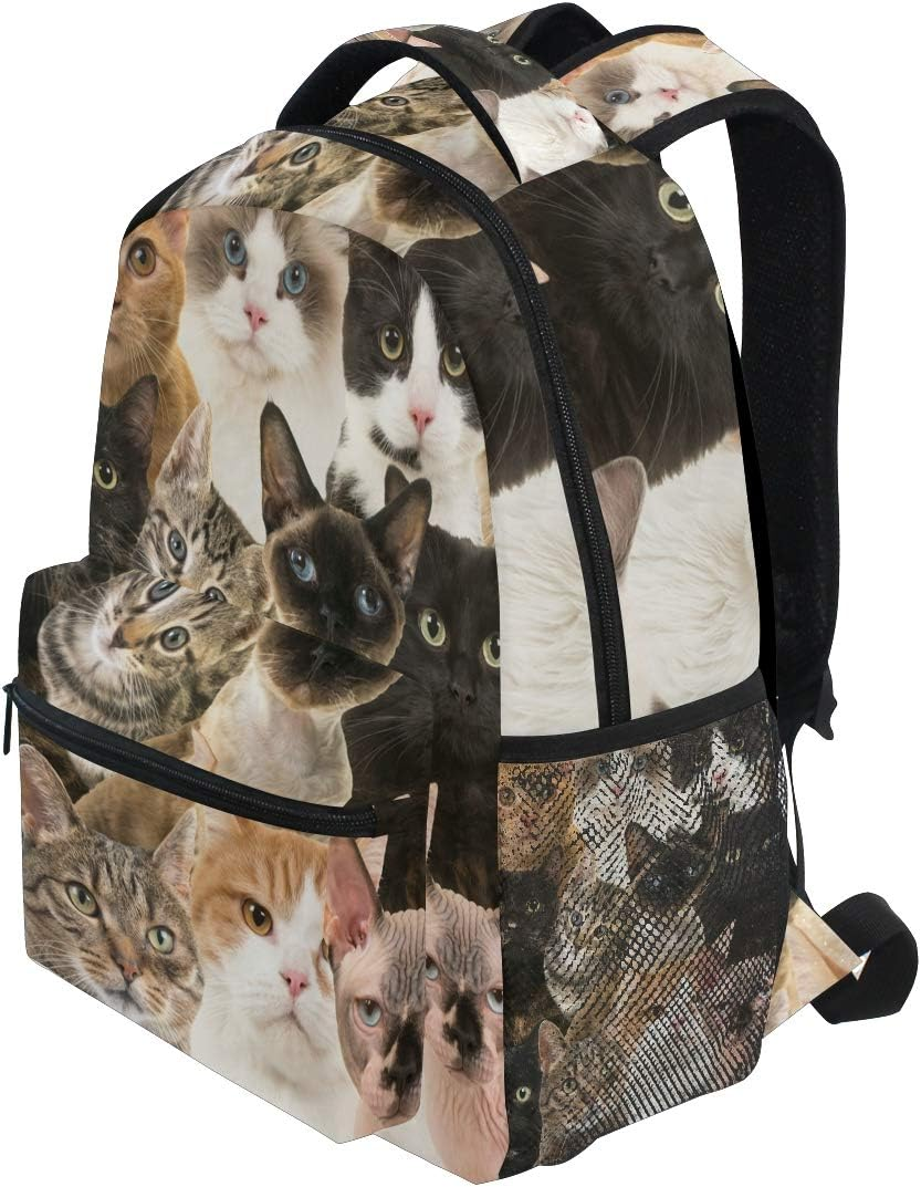 Rootti Backpack Bag Cat Animal Print Daypack Canvas School with Travel Bookbag Backpack for Teen Boys Girls Men and Women, Multi, One Size
