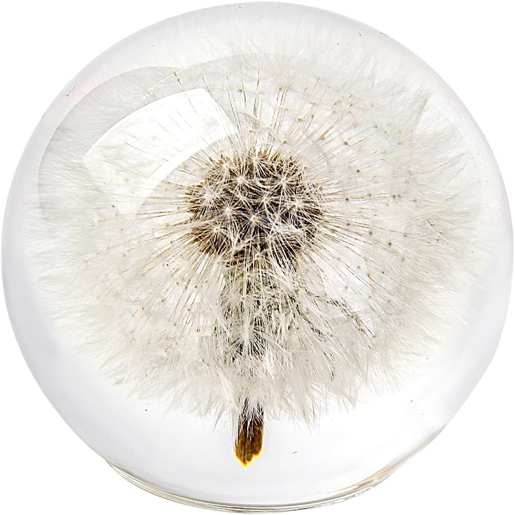 Dandelion Paperweight in Crystal Glass &ndash; Real Preserved Dandelion, Symbol of Hope, Luck, or New Beginnings &ndash; Elegant Gift with Gift Box & Card (Dandelion, 65 Mm)