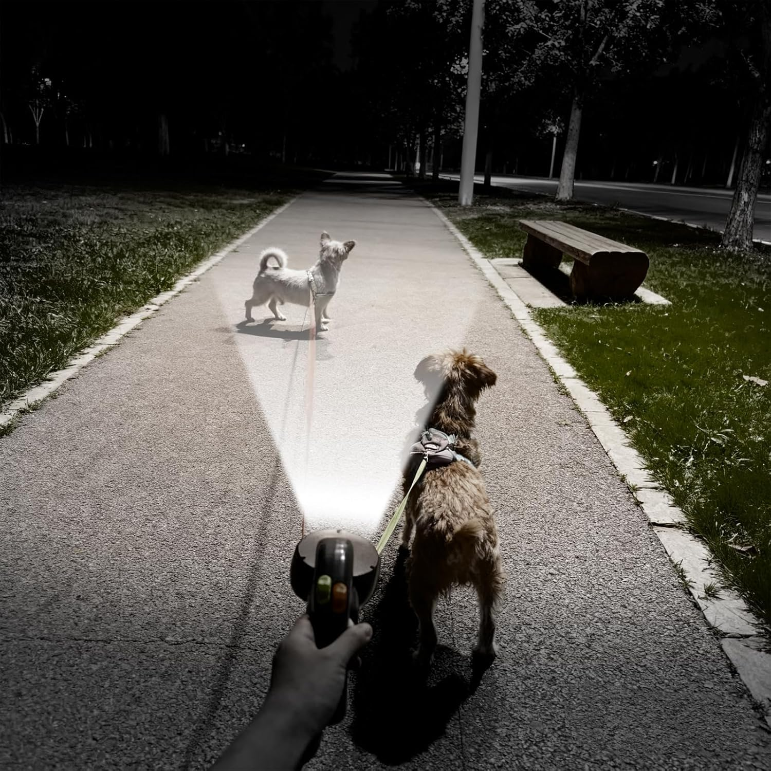 Nimomo Dog Lead Retractable Double Dog Lead Pet Leash 1 Tow Rope 2 Double with Torch and Pocket Dispenser image number 5