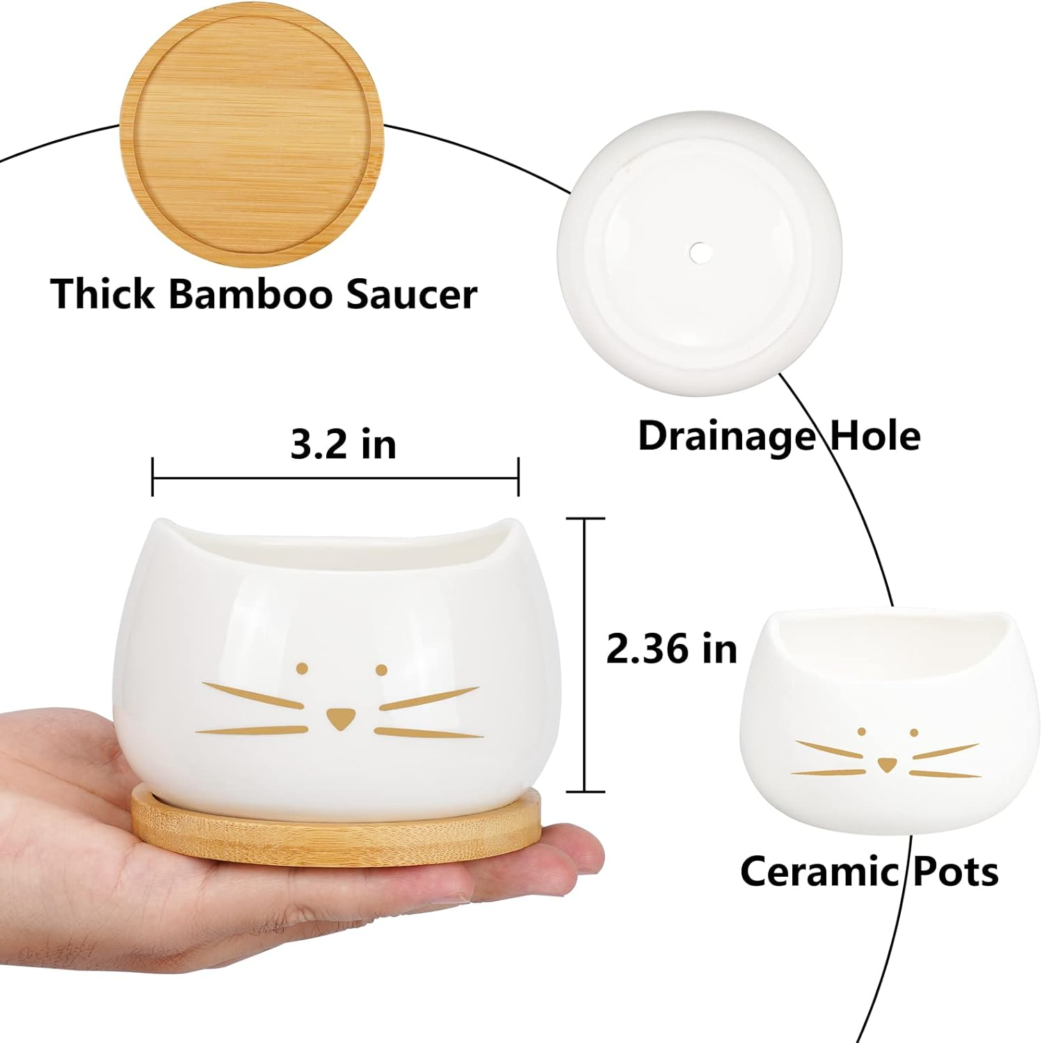 Koolkatkoo 3.2 Inch Cute Cat Ceramic Succulent Planter Pots with Removable Saucer Unique Cactus Planters Porcelain Decorative Flower Pot for Cat Lovers Set of 3 White image number 1