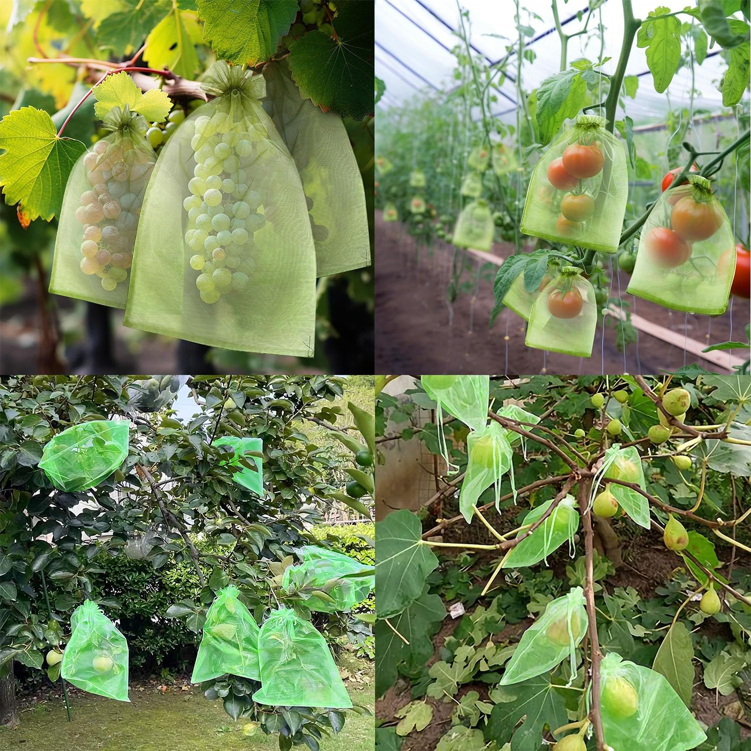 50 Pcs Fruit Protect Bags,Fruit Cover Mesh Bag with Drawstring,Reusable Mesh Garden Netting Protection Bags for Protecting Fruit Tree,Vegetables, Plants from Birds and Insects (15 * 20 Cm) image number 4