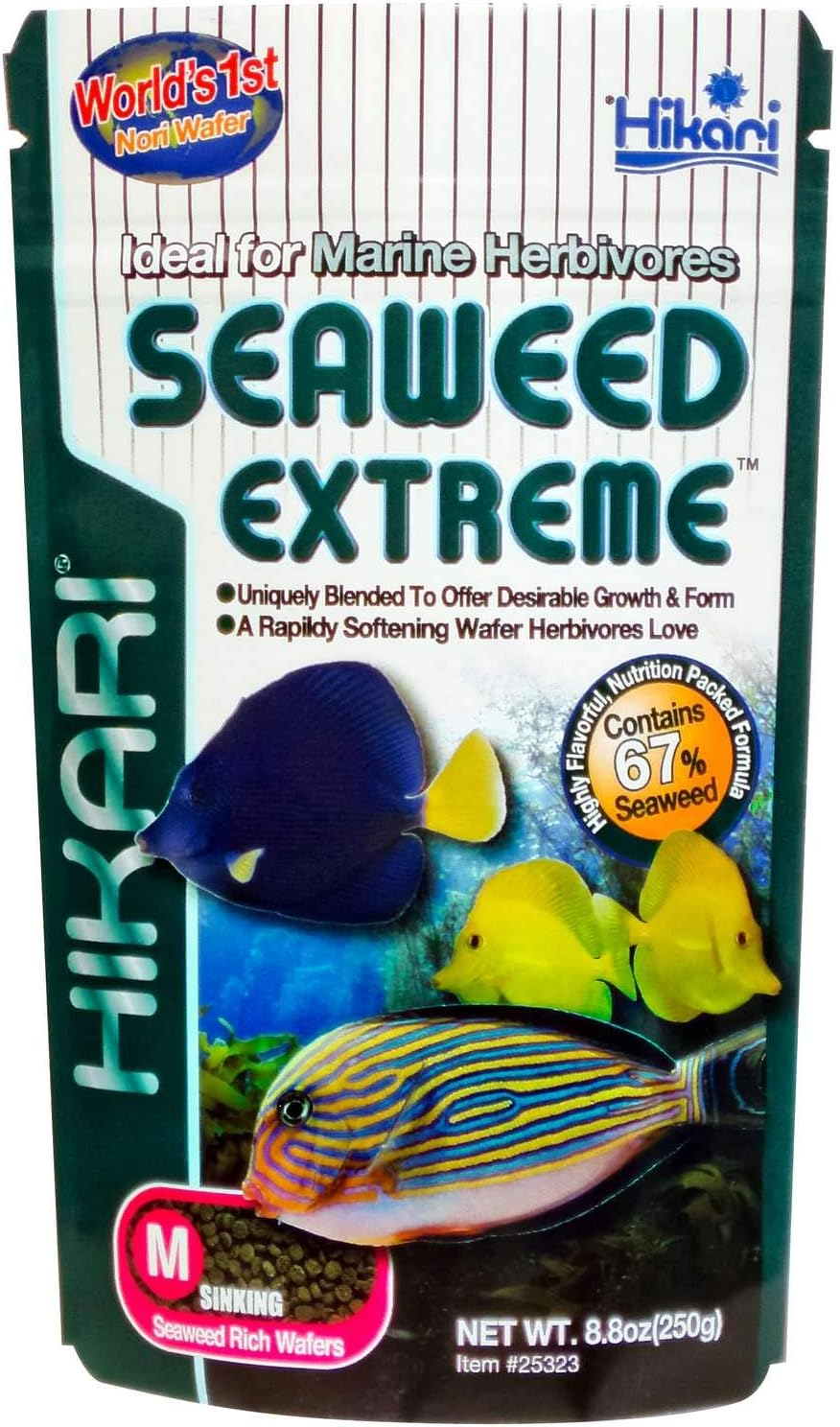 Hikari Seaweed Extreme Wafer 90G Herbivore Premium Fish Food Made in Japan image number 2