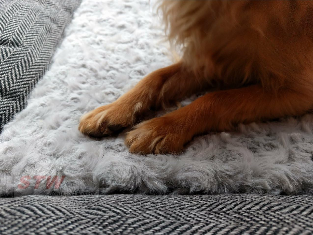 Ekkia/French Dog Fluffy Mat Cushion Diego & LOUANA Pad for Medium and Large Dogs (Dark Gray) image number 2