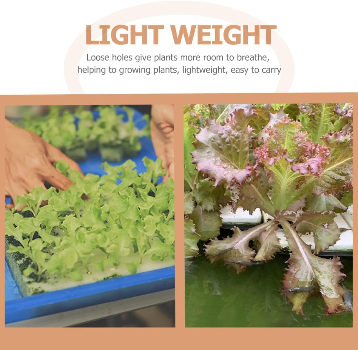 CIYODO 2Pcs Hydroponic Floating Plant Boards 40Mm Hole Diameter Foam Blocks Soil-Free Hydroponic Gardening Supplies for Vegetable and Sprout Growing in Home Greenhouse image number 1