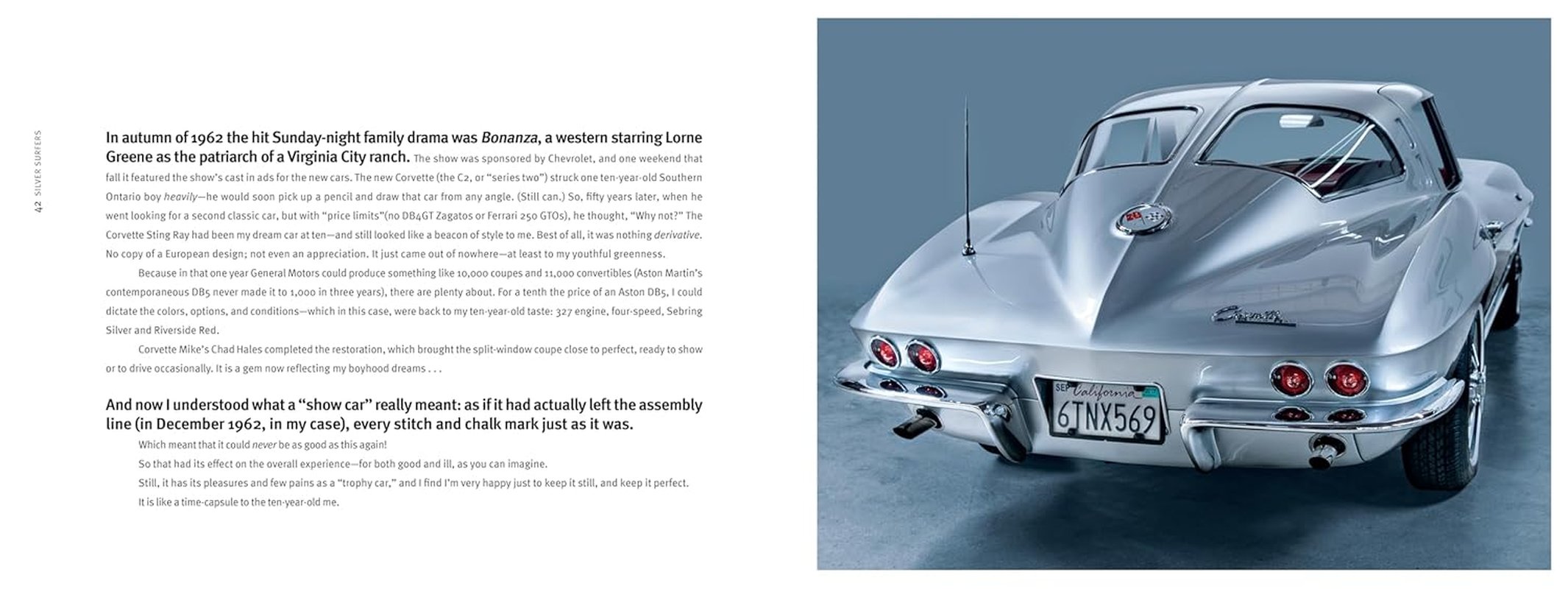 Silver Surfers image number 1