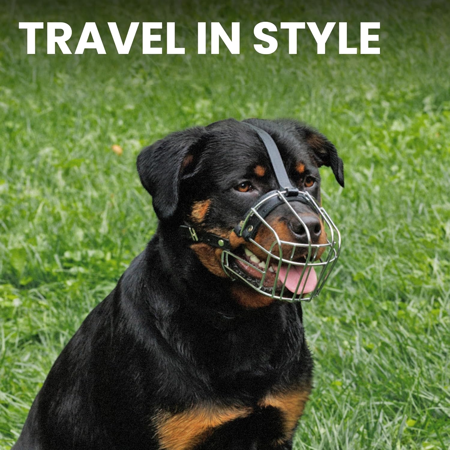 Bronzedog Dog Muzzle Wire Basket Rottweiler Adjustable Leather Straps (L) image number 2