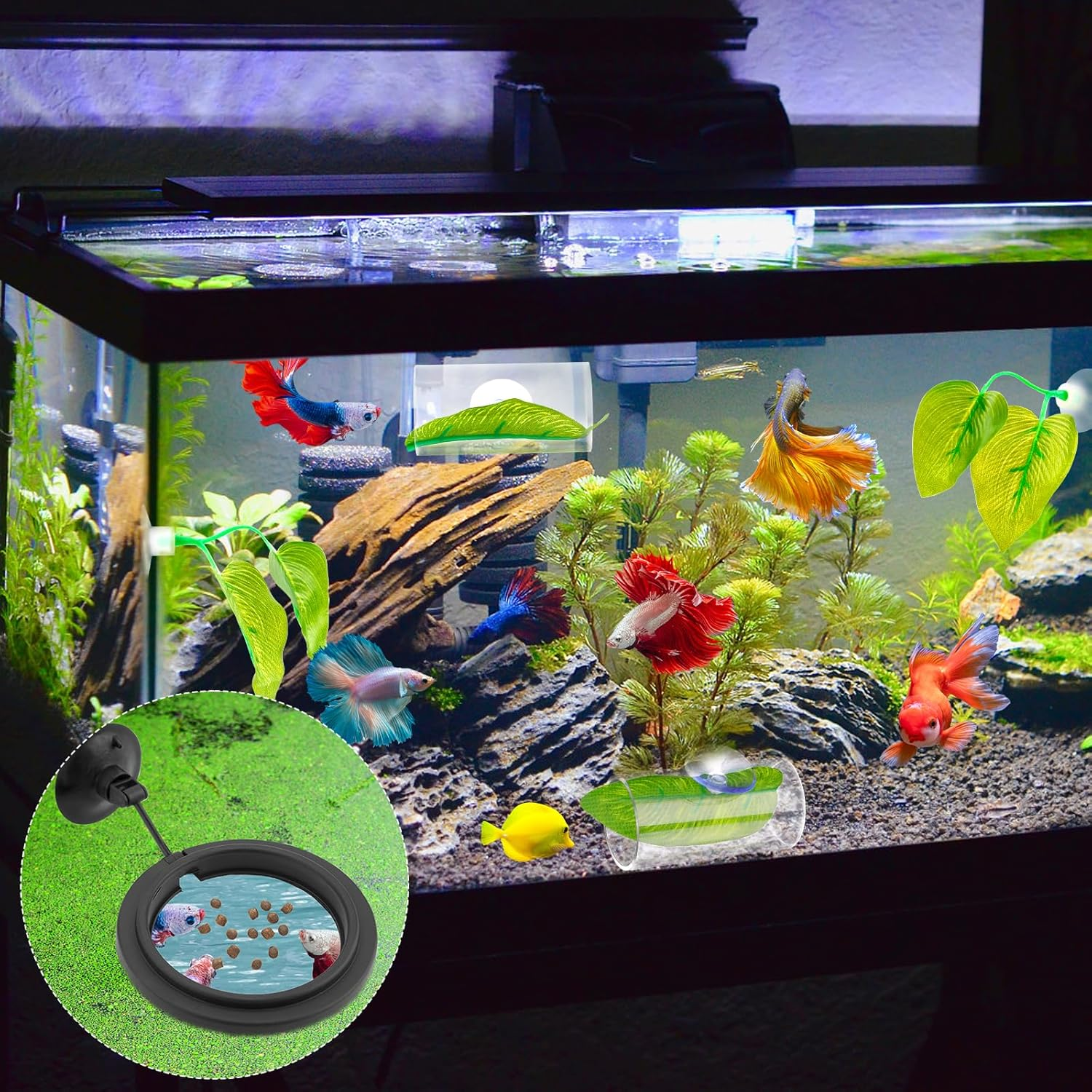 NQEUEPN Betta Fish Tank Accessories, 2Pcs Betta Tunnel & 2Pcs Betta Fish Leaf & round Fish Feeding Ring Fish Toys Betta Fish Natural Habitat Shelter Hideaway Betta Fish Tank Decorations image number 1