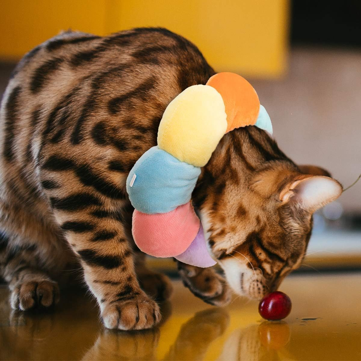 Weyeena Cat Small Dog Recovery Collar, Cute Neck Cone after Surgery, Adjustable Pet E Wound Healing Protective Surgery Elizabethan Collars for (Multicolour, M) image number 2