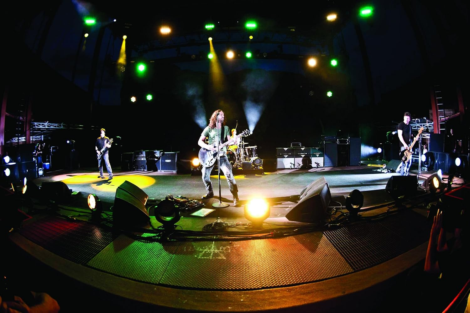 King Animal image number 2