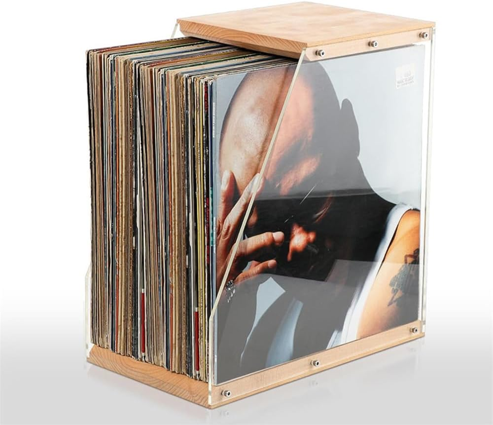 Vinyl Record Storage Box - Portable Vinyl Storage Organizer for 40 Lps, Dustproof Sturdy Design, Stylish Decorative Solution for Collectors Music Enthusiasts