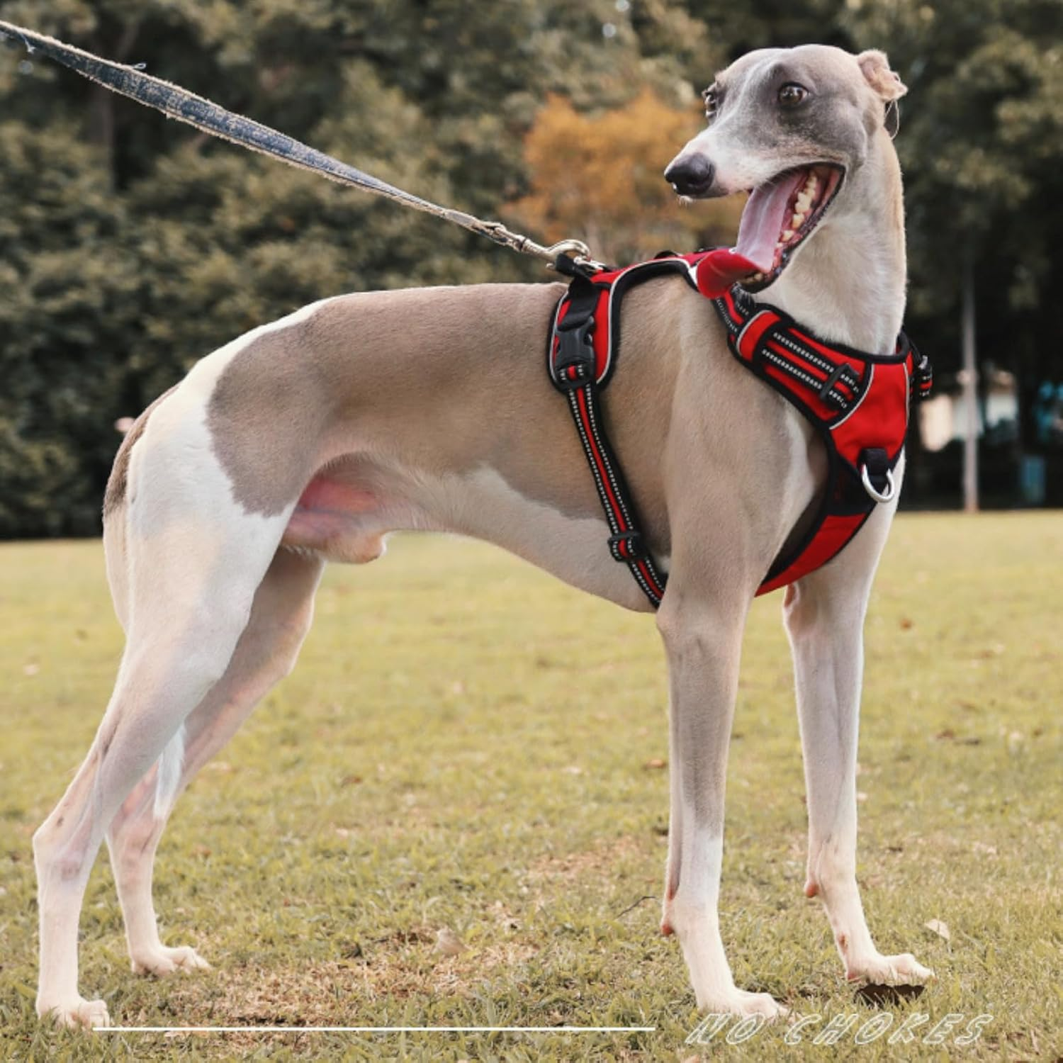 DKDDSSS Dog Harness Large Dog No Pull Pet Harness Dog Vest Harness, Adjustable Soft Padded Pet Vest Harness, Y Shaped Harness, Dog Harness, Easy Control Handle for Training or Walking, L image number 6