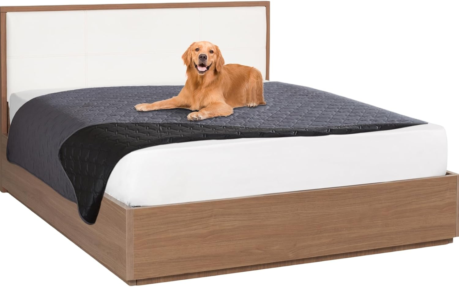 Nizirioo Waterproof Dog Blanket, 130 X 200 Cm, Waterproof Pet Blanket, Waterproof Blanket, Reversible Scratch-Resistant Protective Blanket for Dogs, Pets, Cats (Dark Grey)