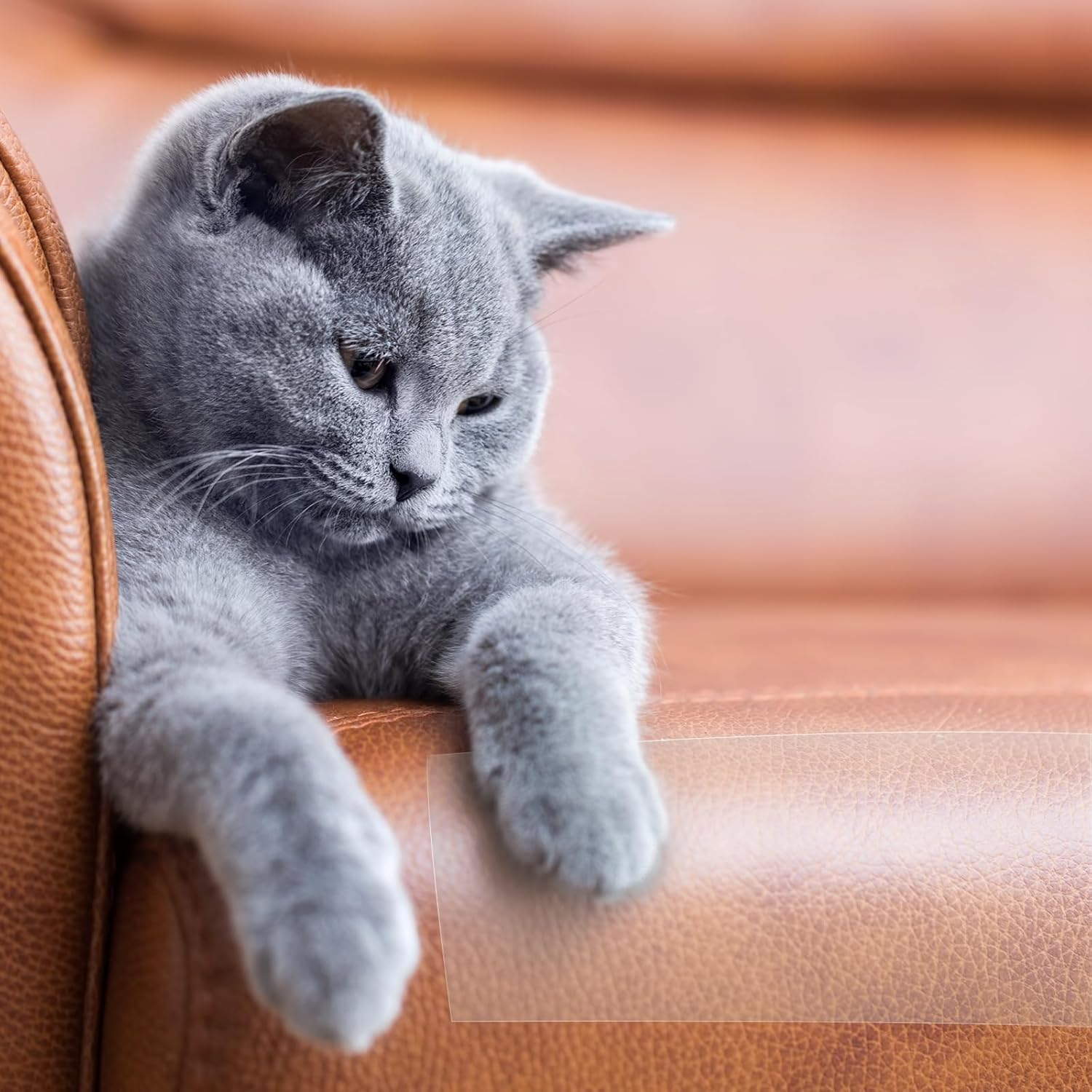 Cat Furniture Couch Protector, 20Cm X10M Self-Adhesie Cat Scratch Protector with 30 Spiral Nails for Protecting Upholstered Furniture Sofa (7.6Cm X 27M) image number 4