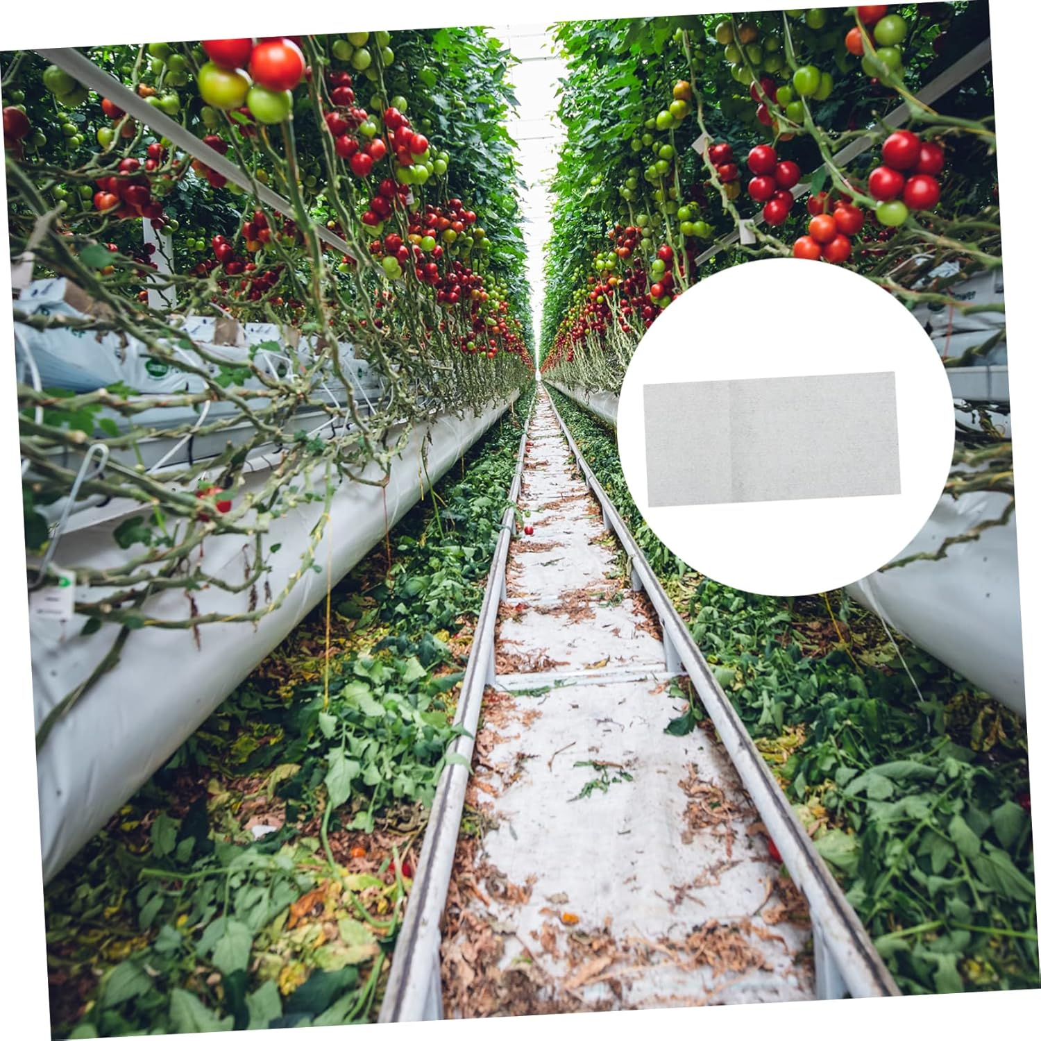 BCOATH 20Pcs Moisturizing Protective Seedling Sprouting Kit Absorbent Cloths for Gardening Greenhouse Seed Mat image number 2