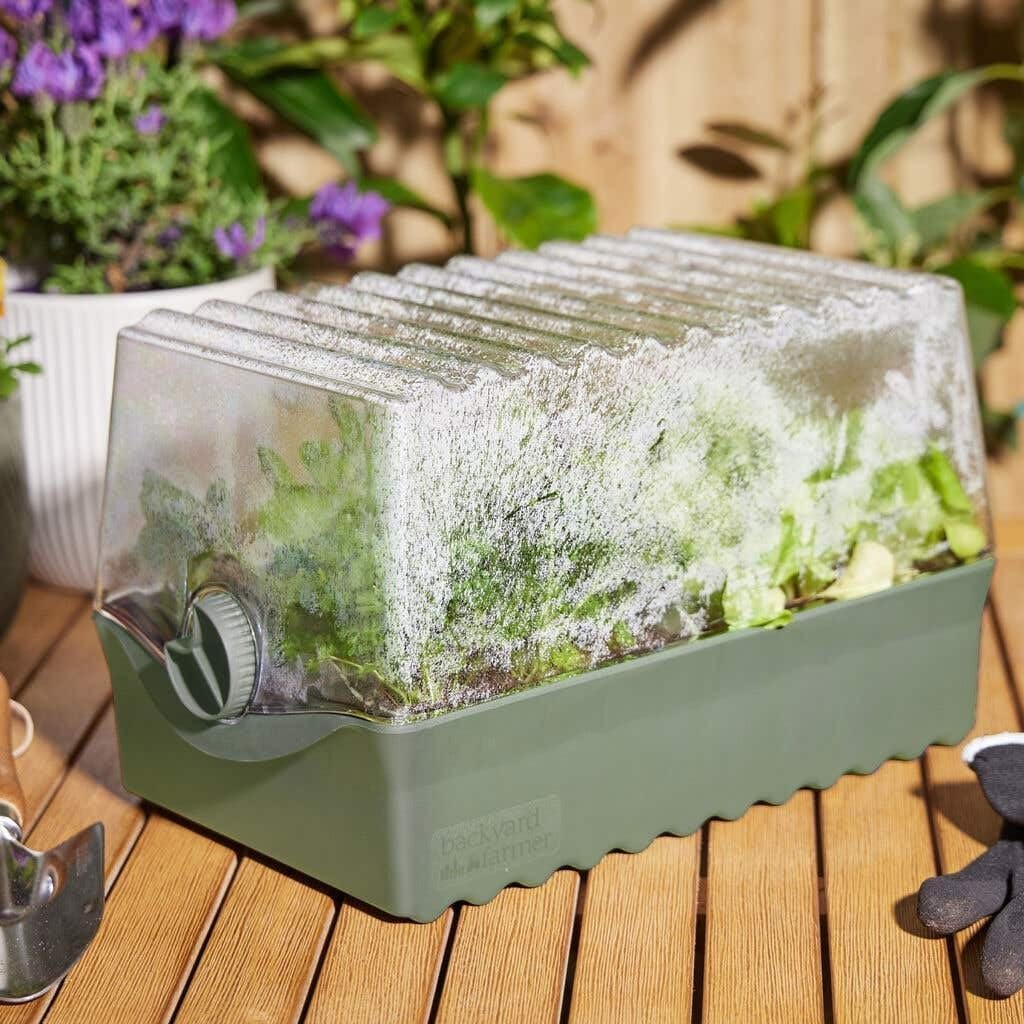 Backyard Farmer Flori Seed Propagation Kit, Green