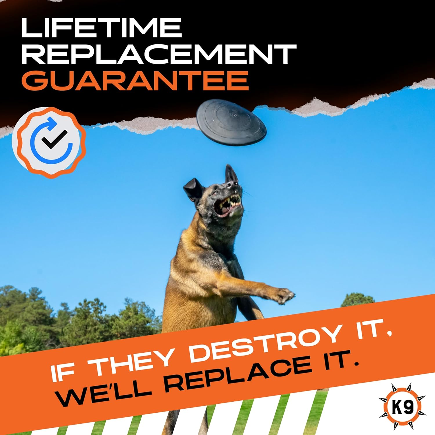 Indestructible Dog Frisbee - Lifetime Guarantee - Tested by Pitbulls, German Shepherds, Other Aggressive Chewers & Large Dogs - Tough Strong Durable Natural Rubber - Safe & Non-Toxic image number 3