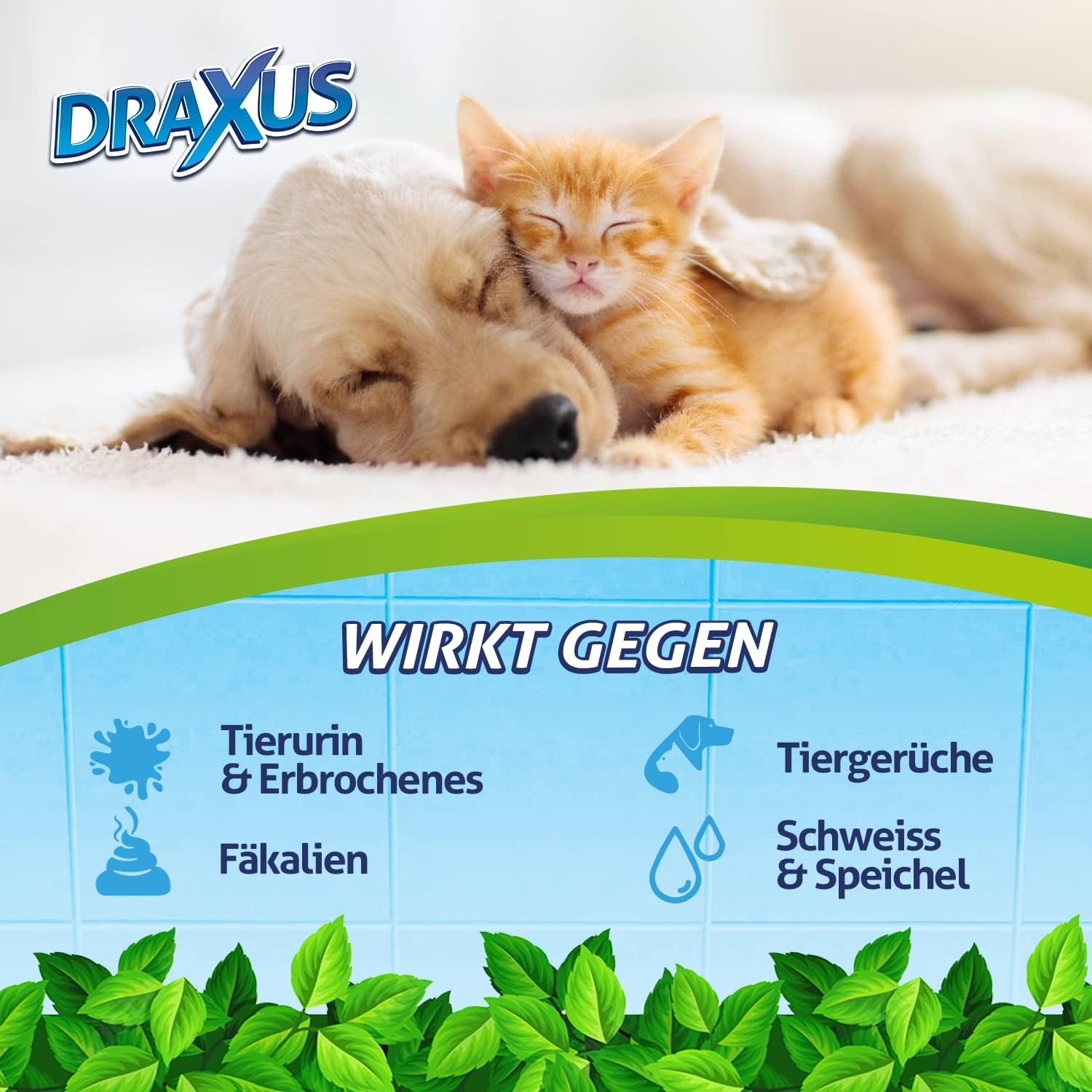 DRAXUS Odour Remover against Cat Urine and Dog Urine, Microbiological Odour Neutraliser with Mixing Bottle, Makes up to 10 Litres of Enzyme Cleaner image number 1