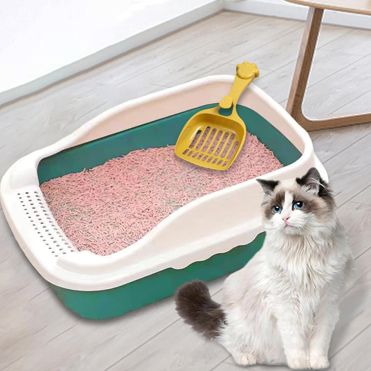 Fenteer Cat Litter Box Potty Toilet Toilette Sand Box Container Pet Litter Tray Pan with Litter Sifting Spoon for Small Animals, Green M 31X21X16Cm