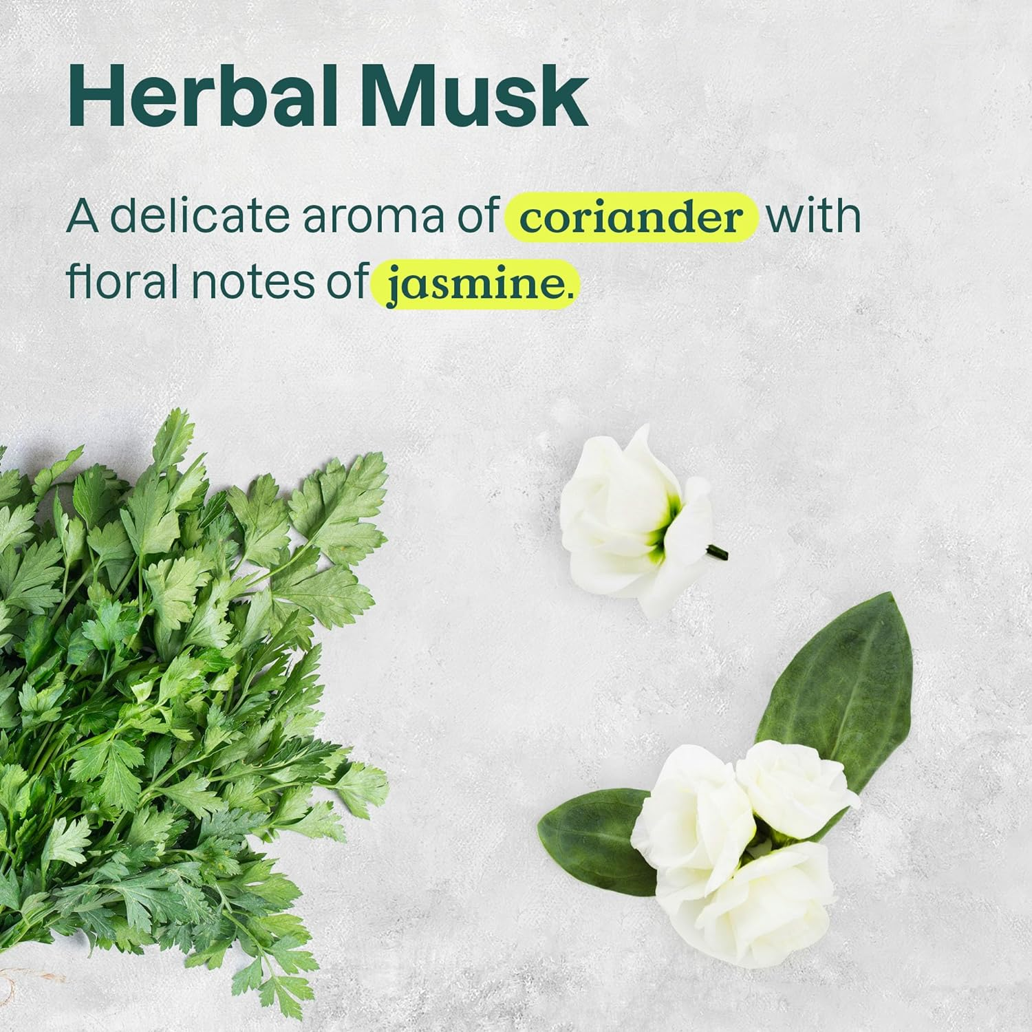 Attitude Foaming Hand Soap Coriander Olive 10 Fl Oz 295 Ml image number 5