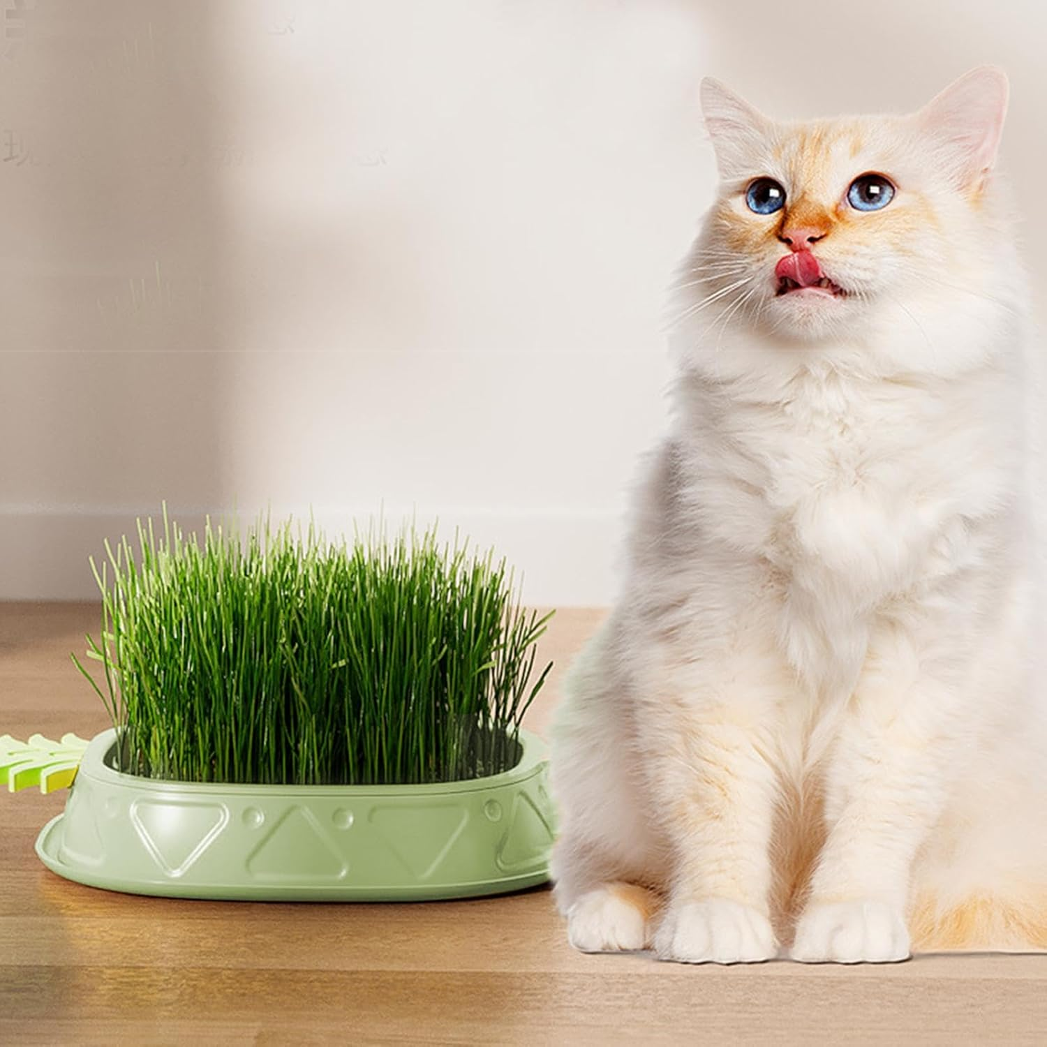 Shurzzesj Hydroponic Cat Grass Growing Box,Soilless Culture Growing Kit - Pineapple Design Wheat Grass Pot, Soil- Planting Box, Indoor Organic Catgrass, Germination Tray, Easy Water image number 4