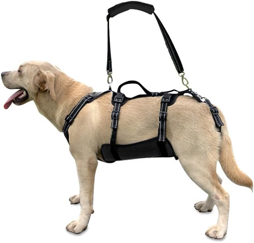 COODEO Dog Lift Harness, Support & Recovery Sling, Pet Rehabilitation Lifts Vest Adjustable Breathable Straps for Old, Disabled, Joint Injuries, Arthritis, Paralysis Dogs Walk (Xxlarge) image number 5