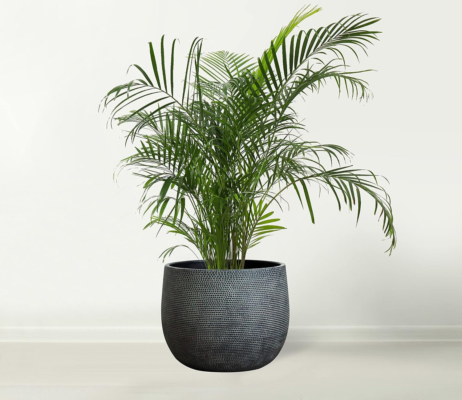 Olly & Rose Barcelona Ceramic Plant Pot Large 25Cm - Black Flower Pots - Plant Pots Indoor & Outdoor Planters image number 6
