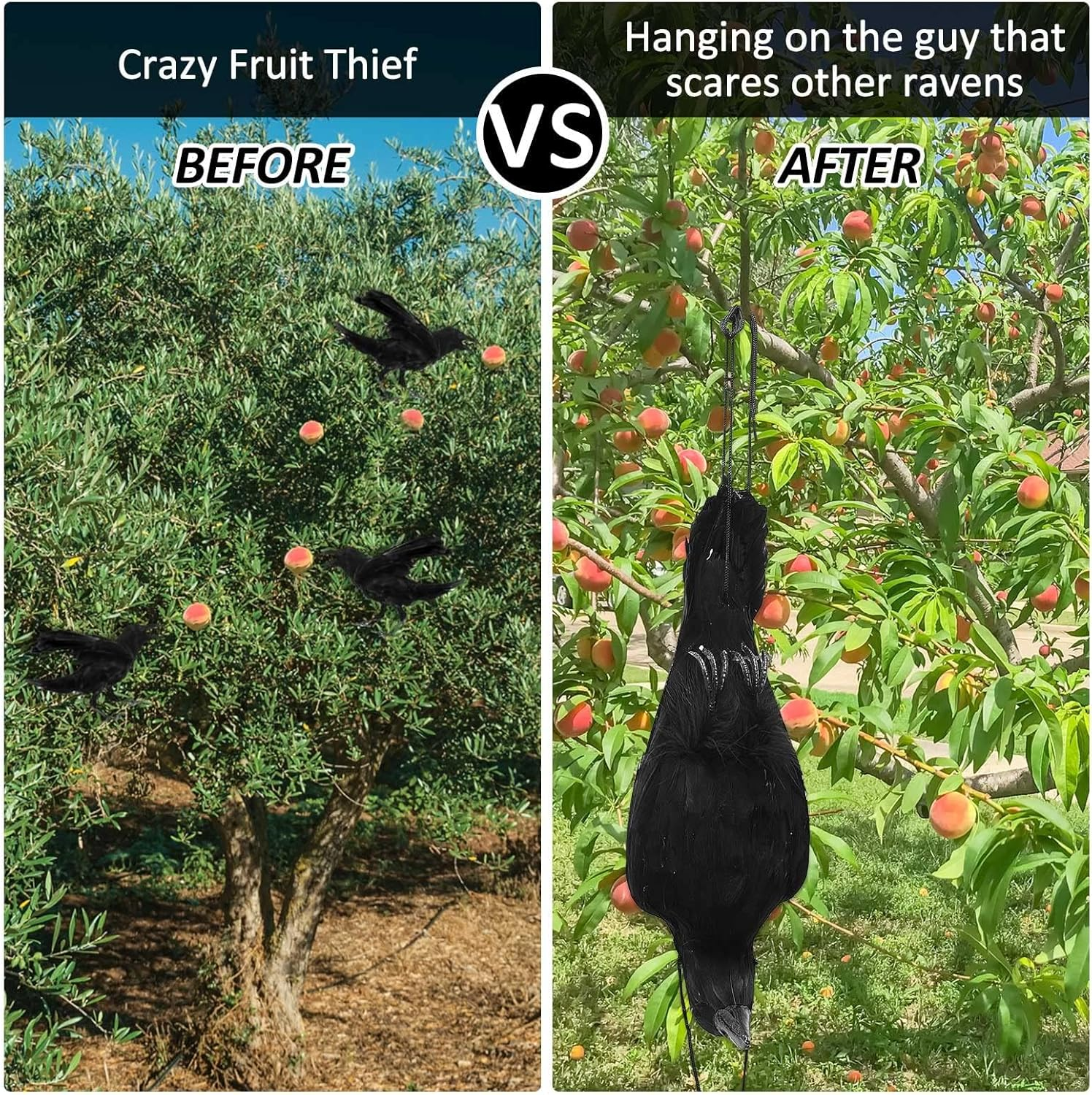 Generic 43CM Realistic Hanging Dead Crow, Life Size Black Feathered Crow Fake Black Crows for Garden Decorations image number 1