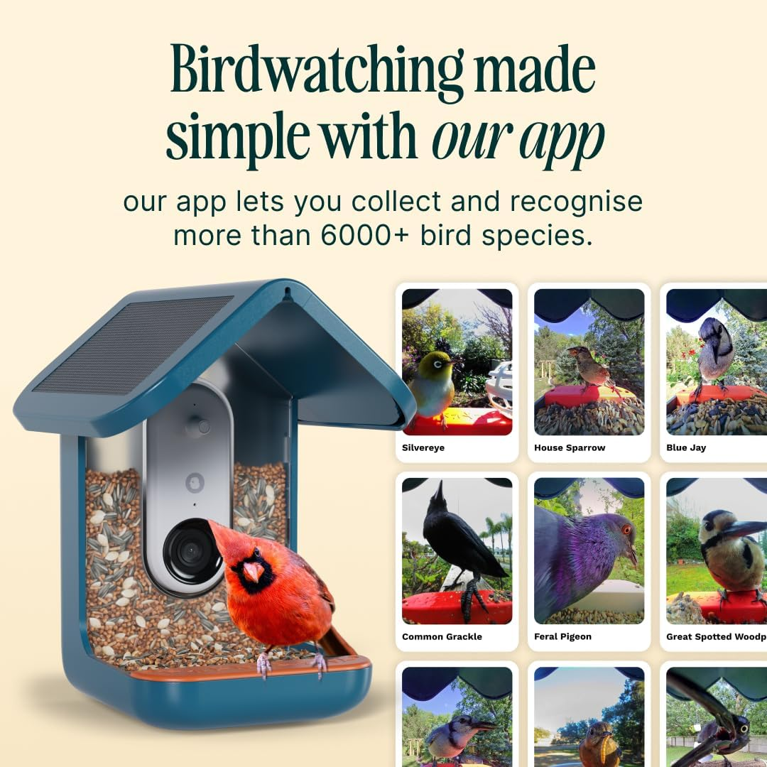 Bird Buddy Non Solar Smart Bird Feeder with Camera - Ai Bird Species Identification, 5Mp Photos, 2K Hd Video Live Stream Camera, Battery-Powered Charging, 2.8In Focus - Blue image number 2