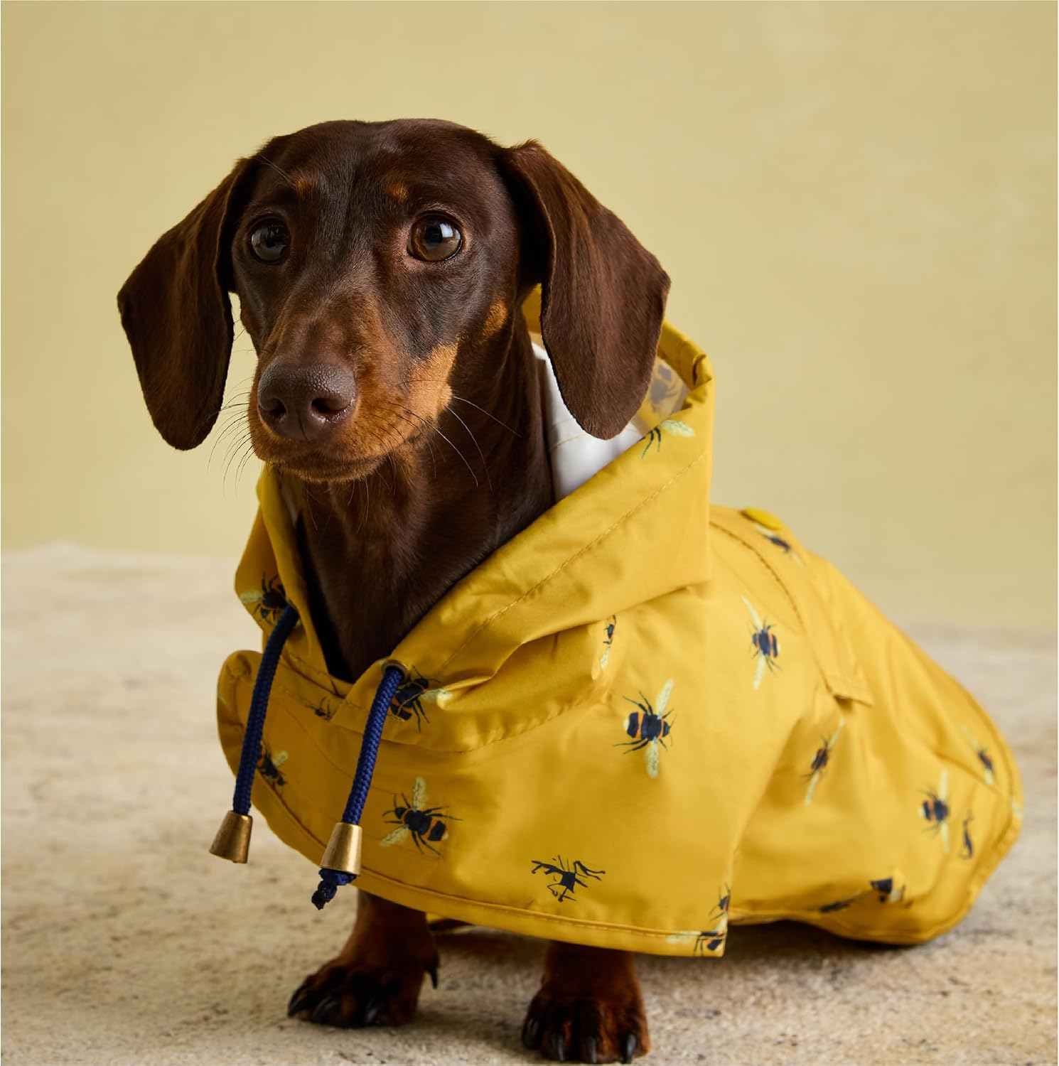 Rosewood Joules Go Lightly Packaway Jacket for Dogs, Small image number 5