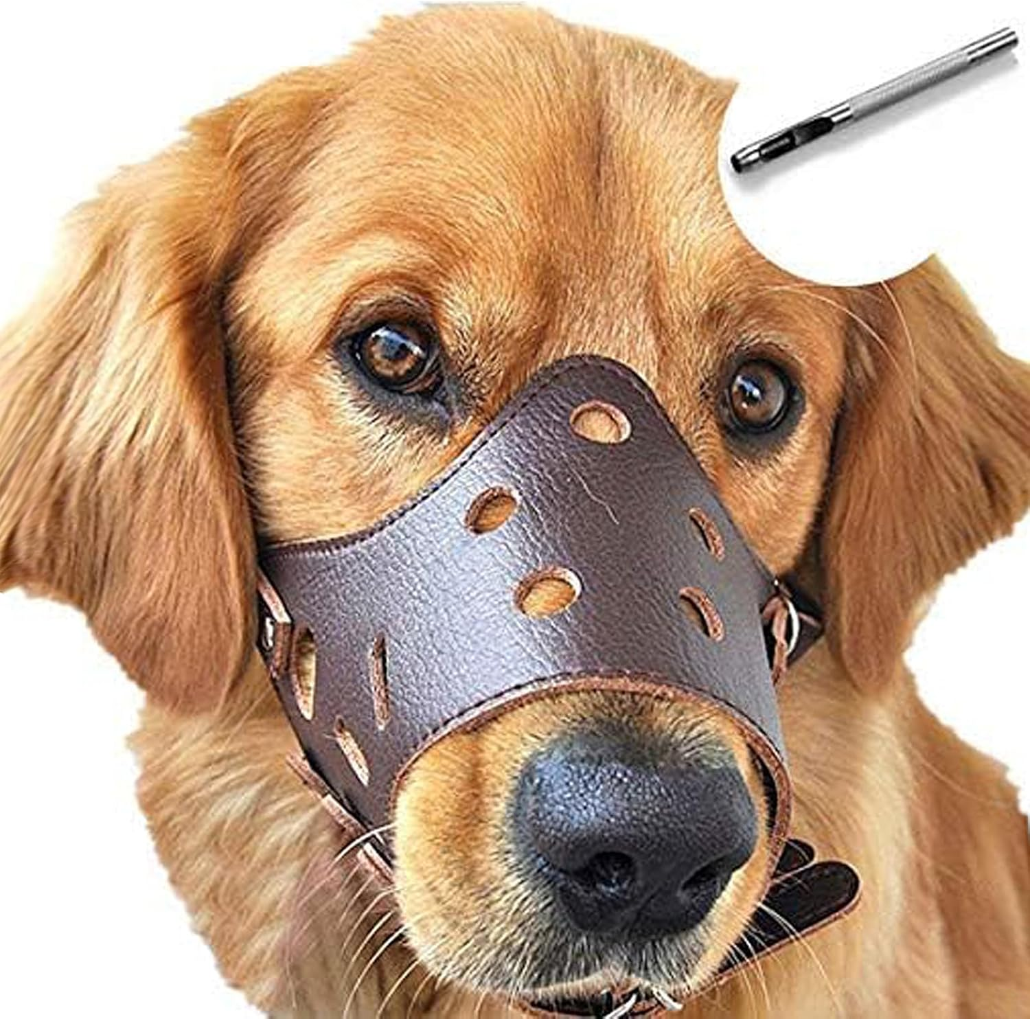 BARKLESS Dog Muzzle Leather, Comfort Secure Anti-Barking Leather Dog Muzzle for Small Medium Large Dogs, Breathable and Adjustable, Allows Drinking and Panting, Used with Collars image number 5